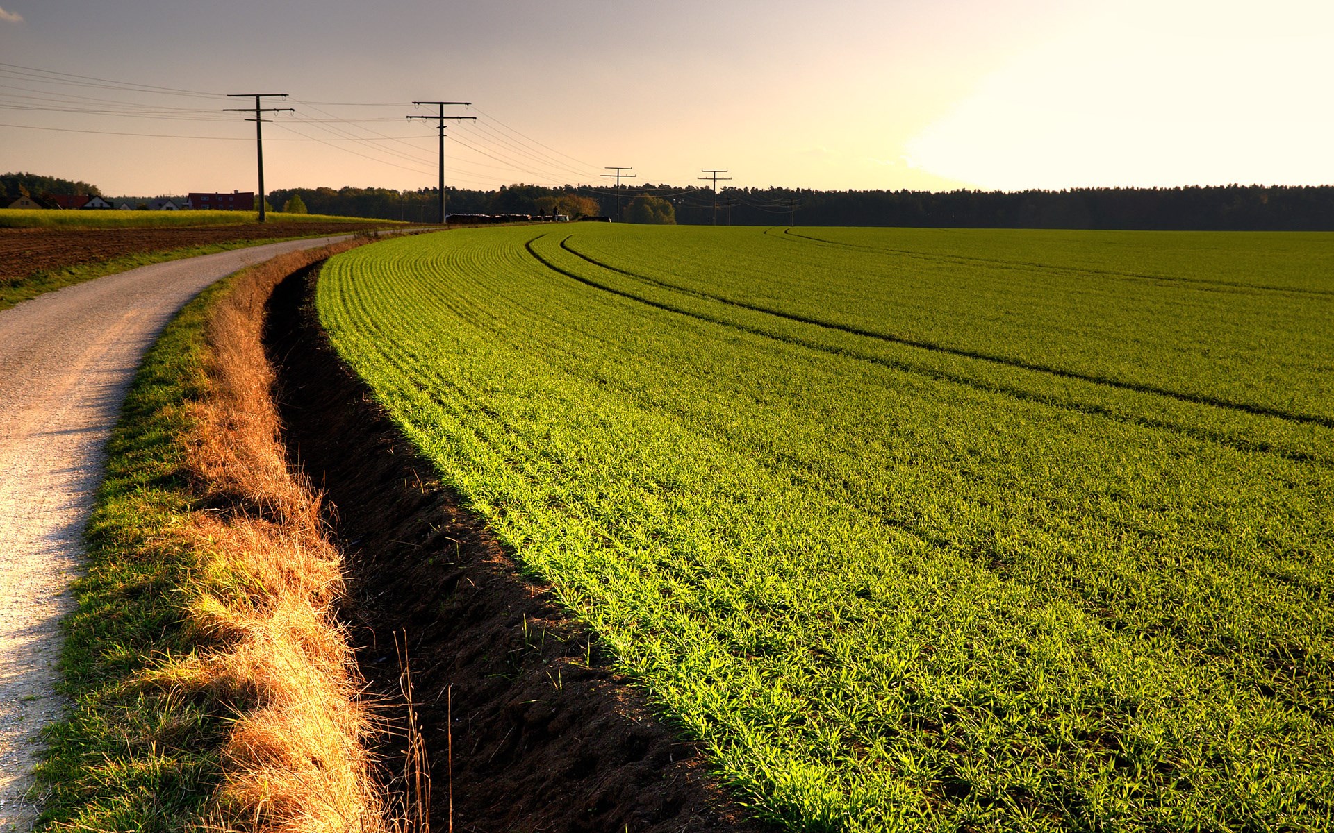 Rural landscape with a dirt road and green field HD Wallpaper