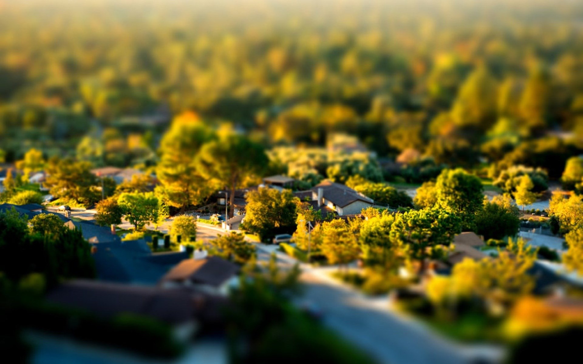 Aerial view of suburban neighborhood with houses and trees HD Wallpaper