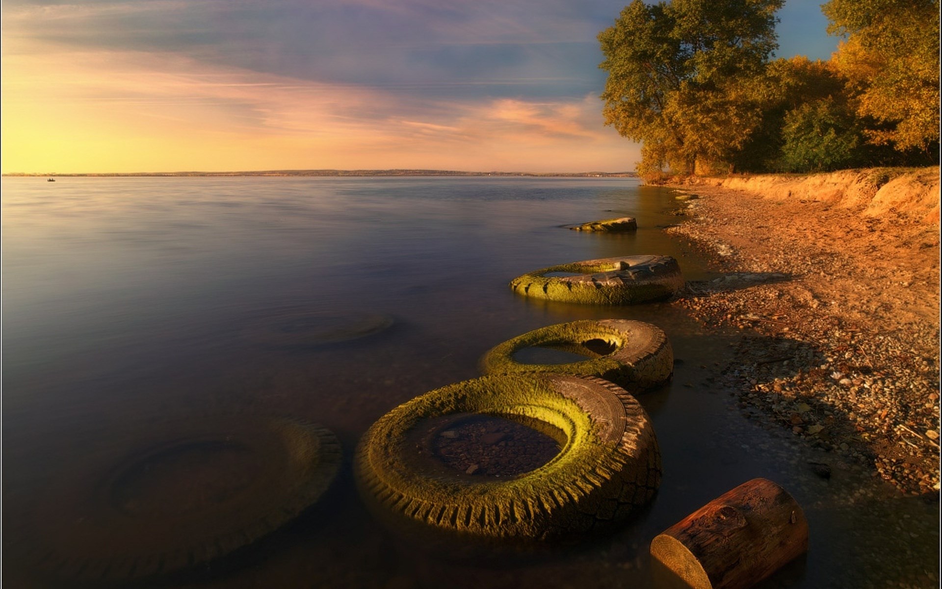 Old tires in the water by a tree-lined shore at sunset HD Wallpaper