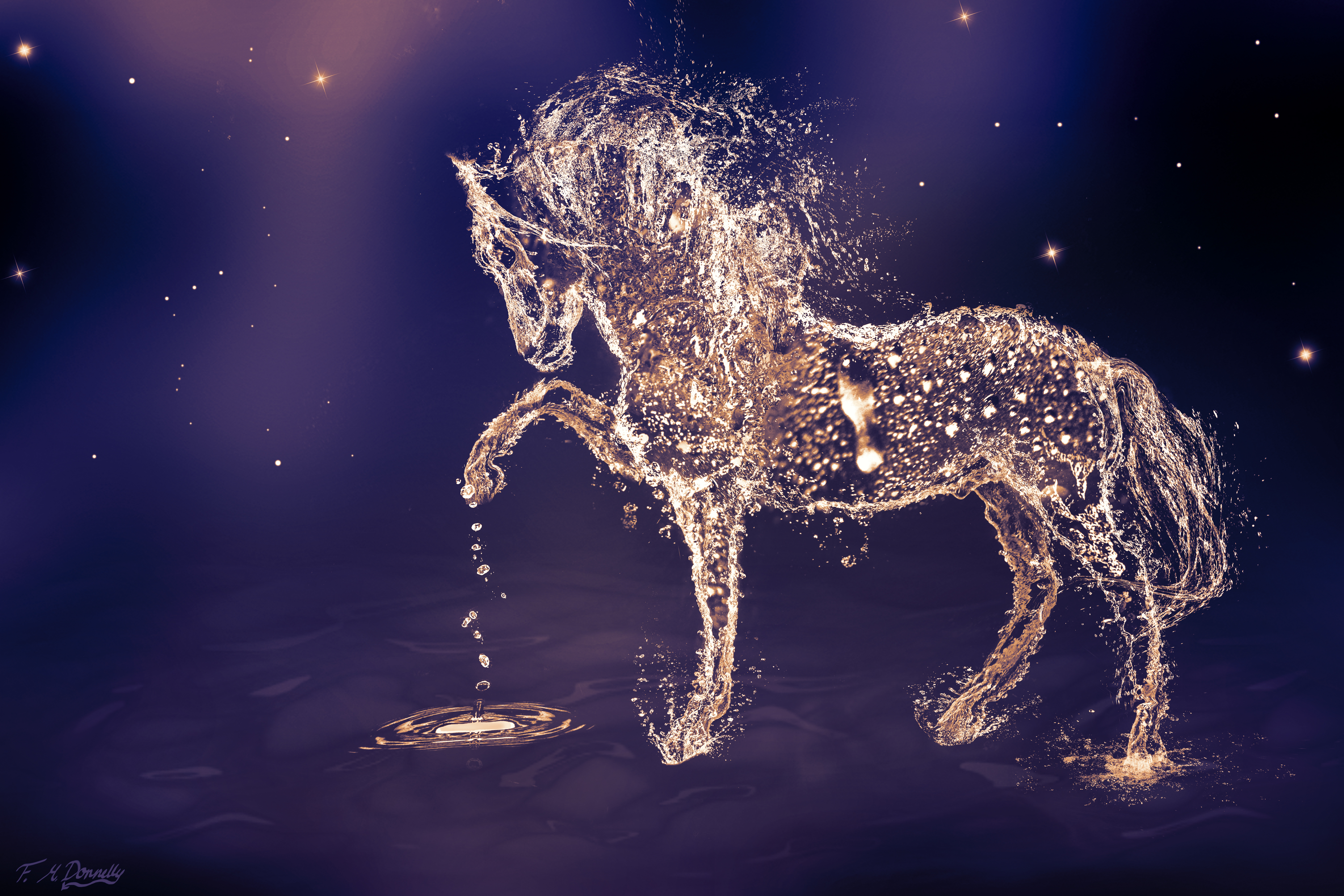 Drops, Water Horse, 4K HD Wallpaper