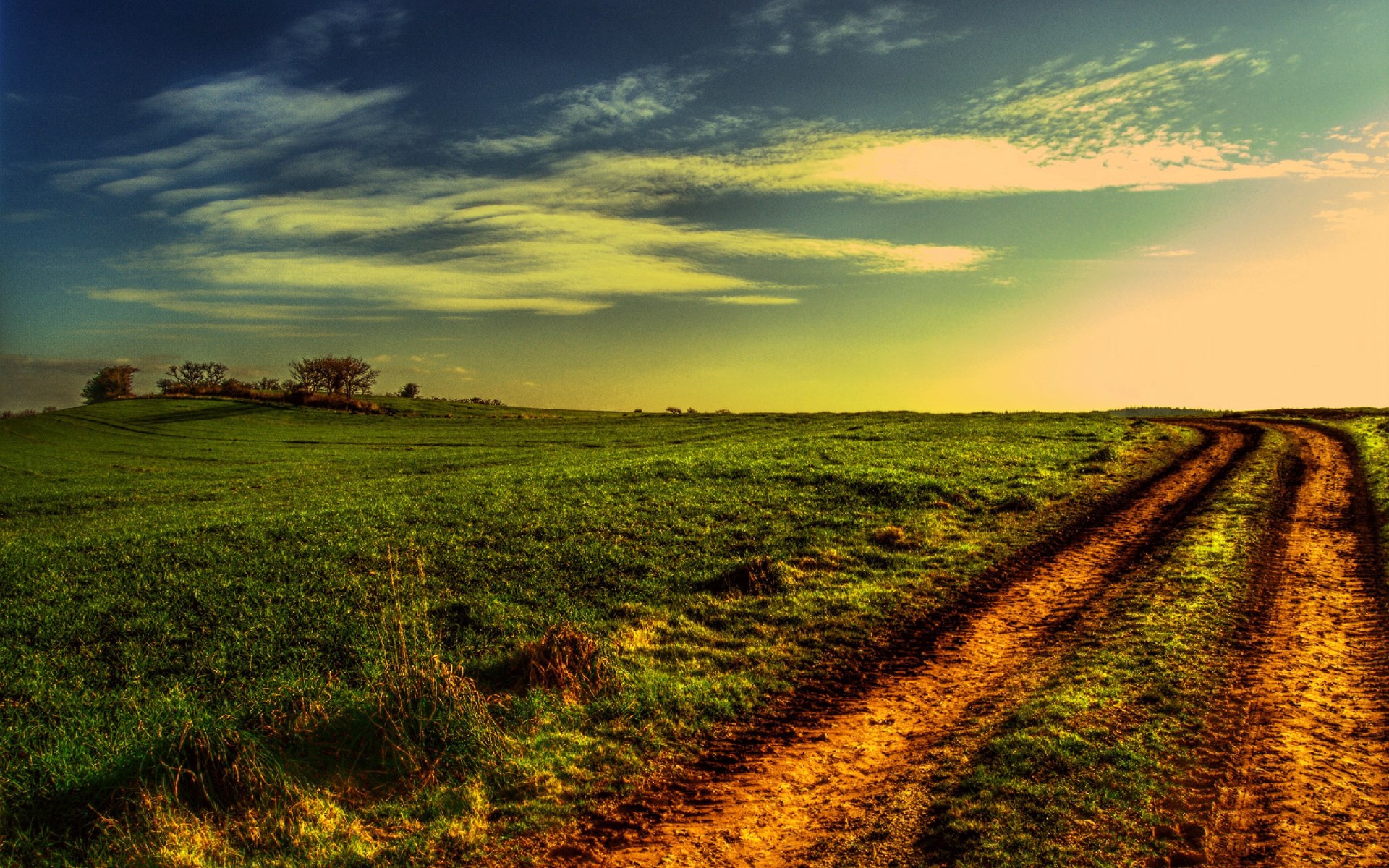 Dirt road through a green field under a cloudy sky HD Wallpaper