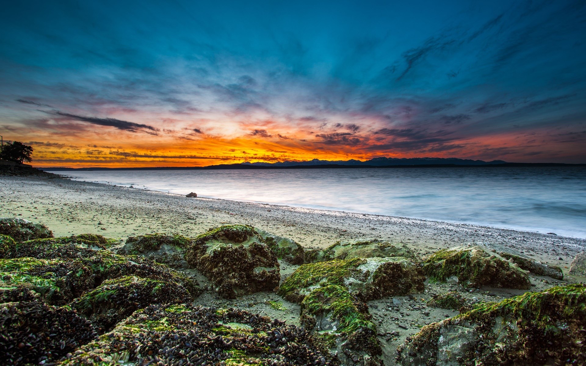 Sunset over a rocky beach with mossy rocks HD Wallpaper