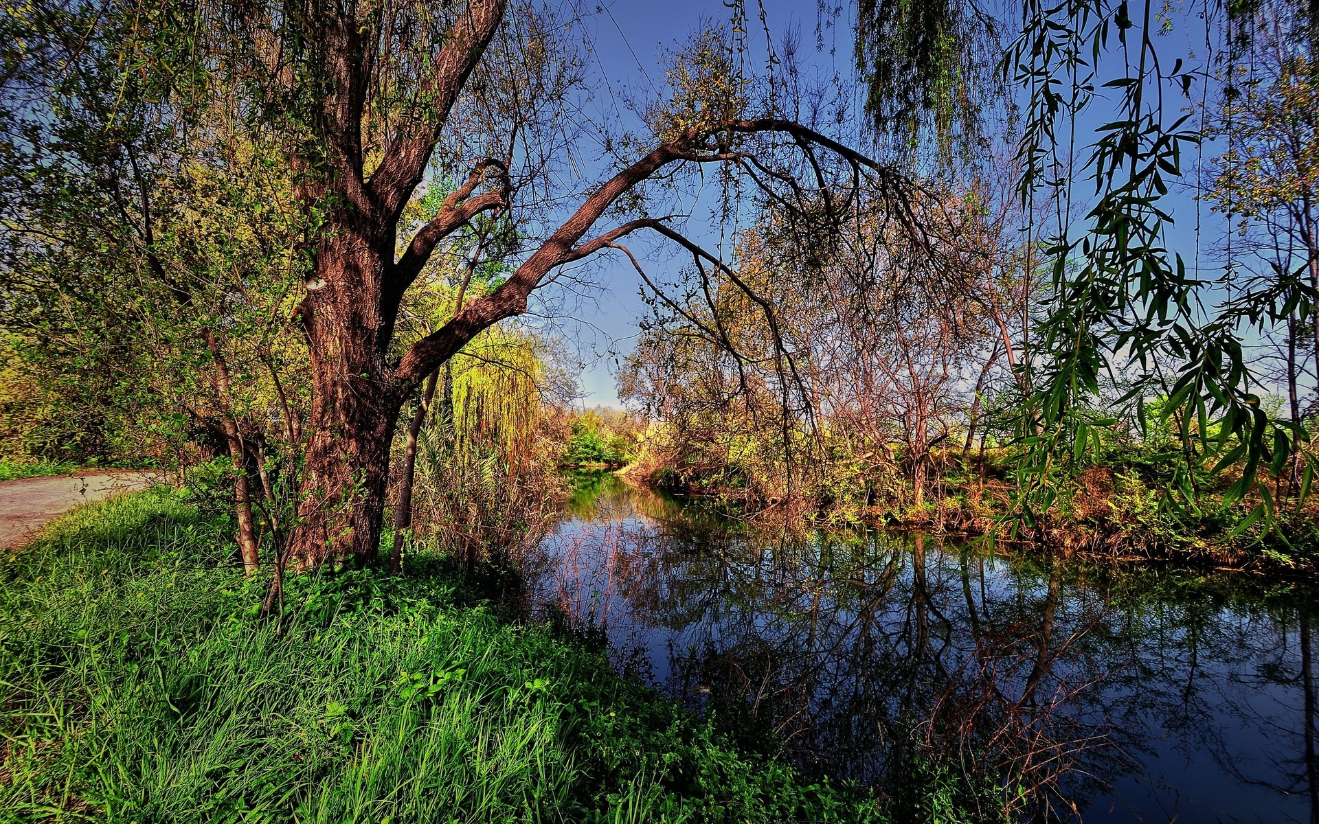 A tranquil river flows through a wooded area with reflections. HD Wallpaper