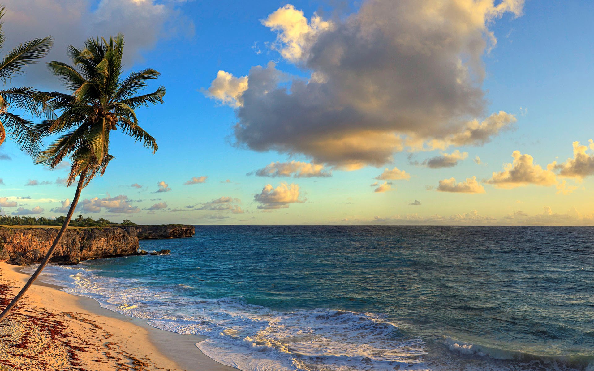 Tropical beach with palm trees and ocean waves HD Wallpaper