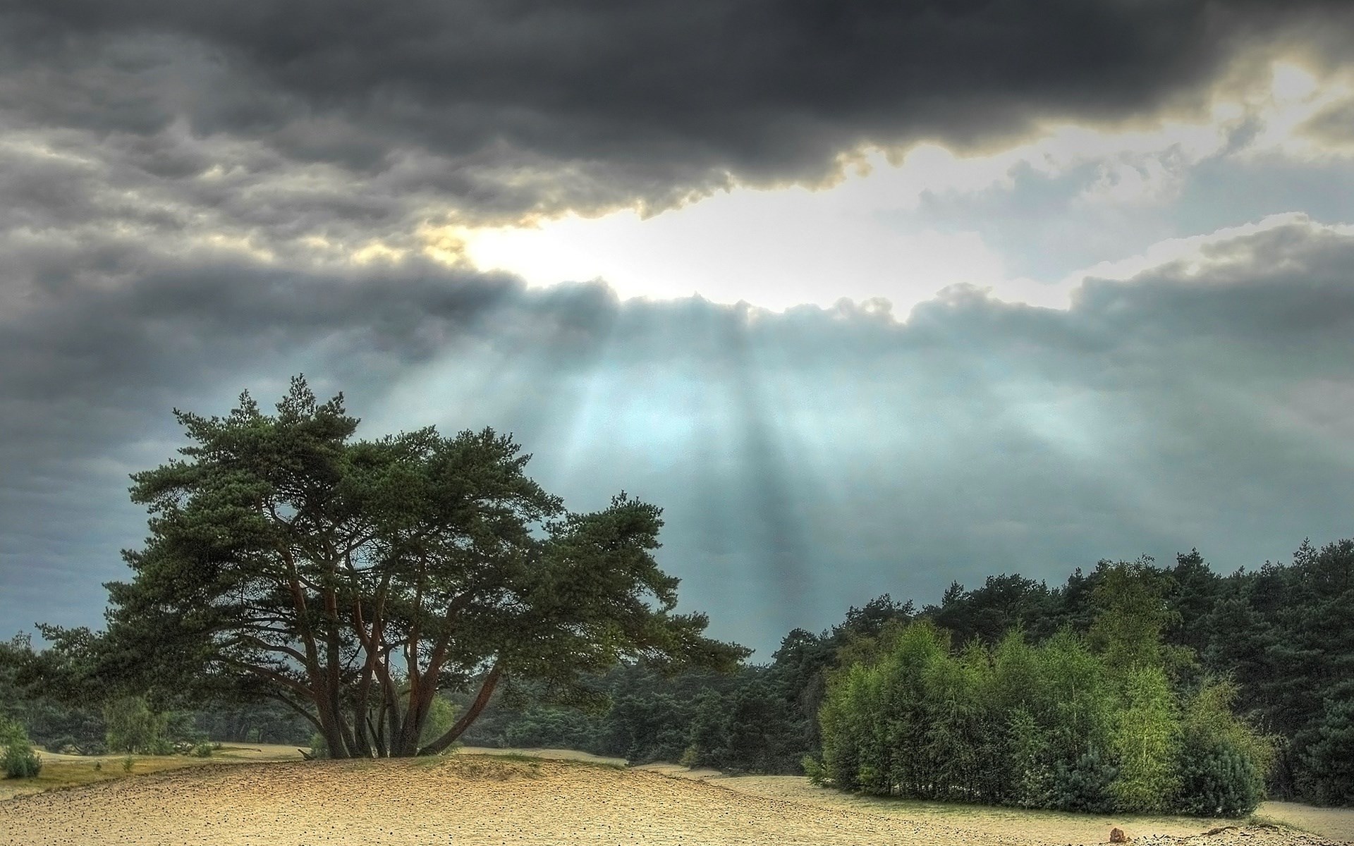 Sunbeams through clouds over a sandy landscape with trees HD Wallpaper