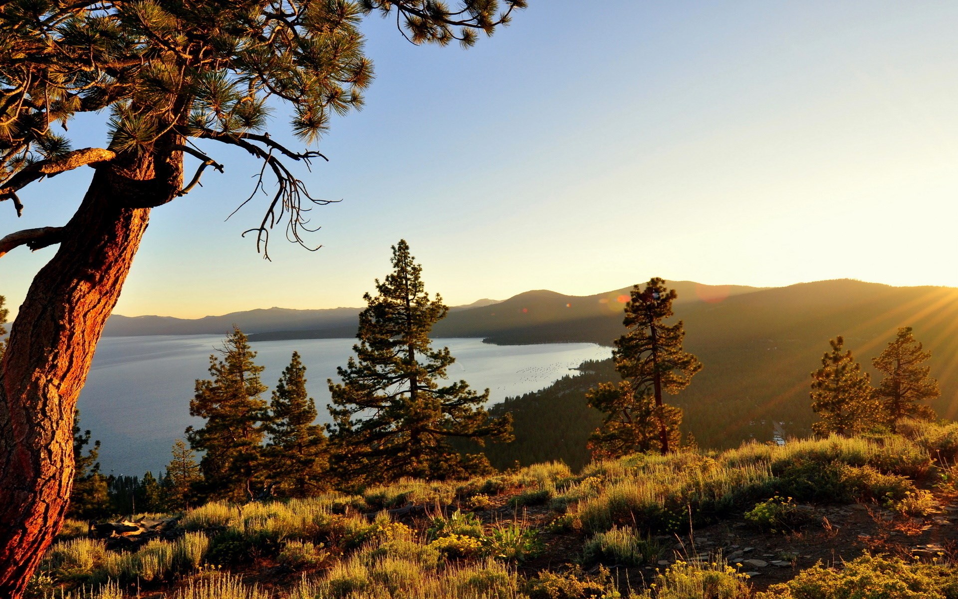 Sunset over a lake with pine trees on a hill HD Wallpaper