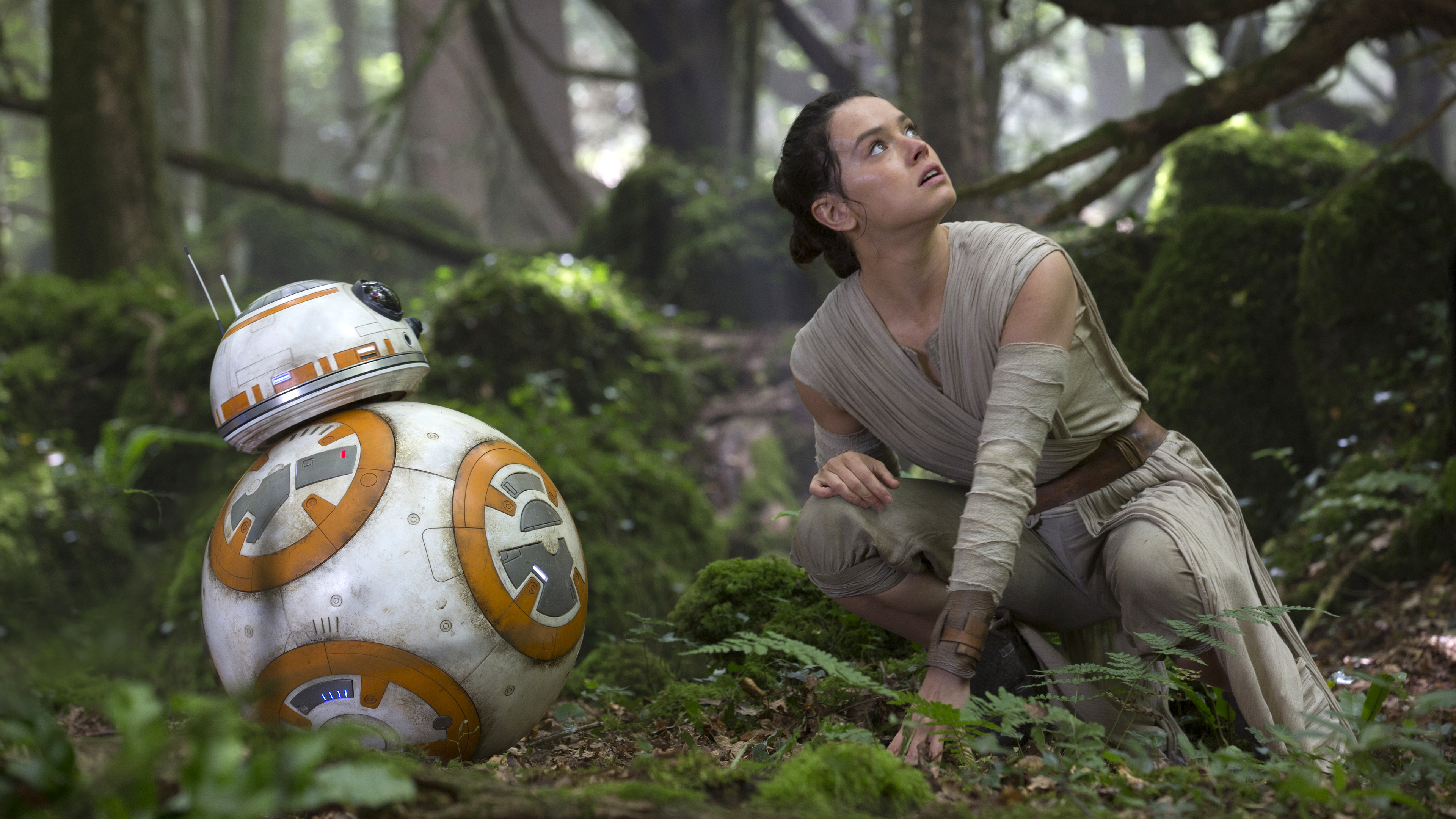 Rey and BB-8 from Star Wars: The Force Awakens HD Wallpaper