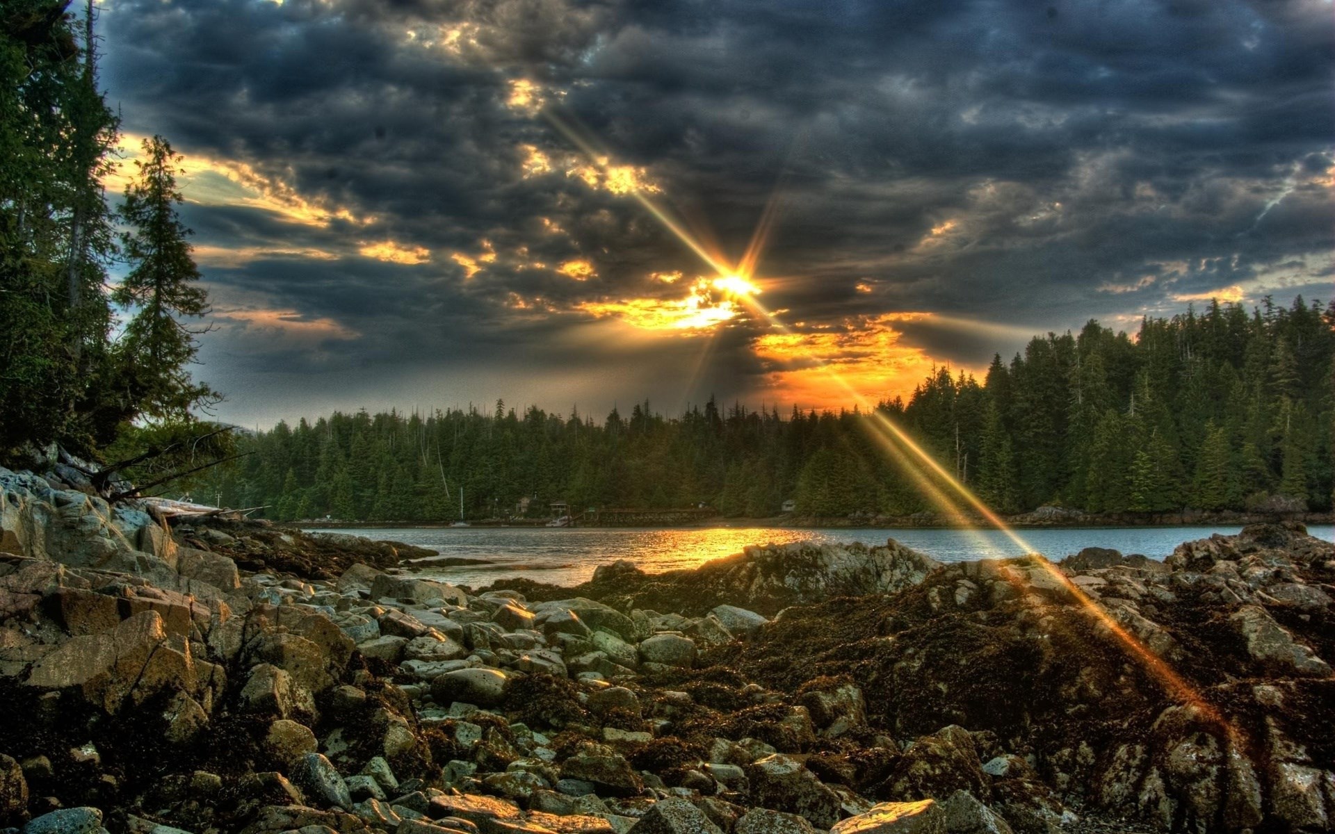 Sunset over a rocky coastline with a forest HD Wallpaper