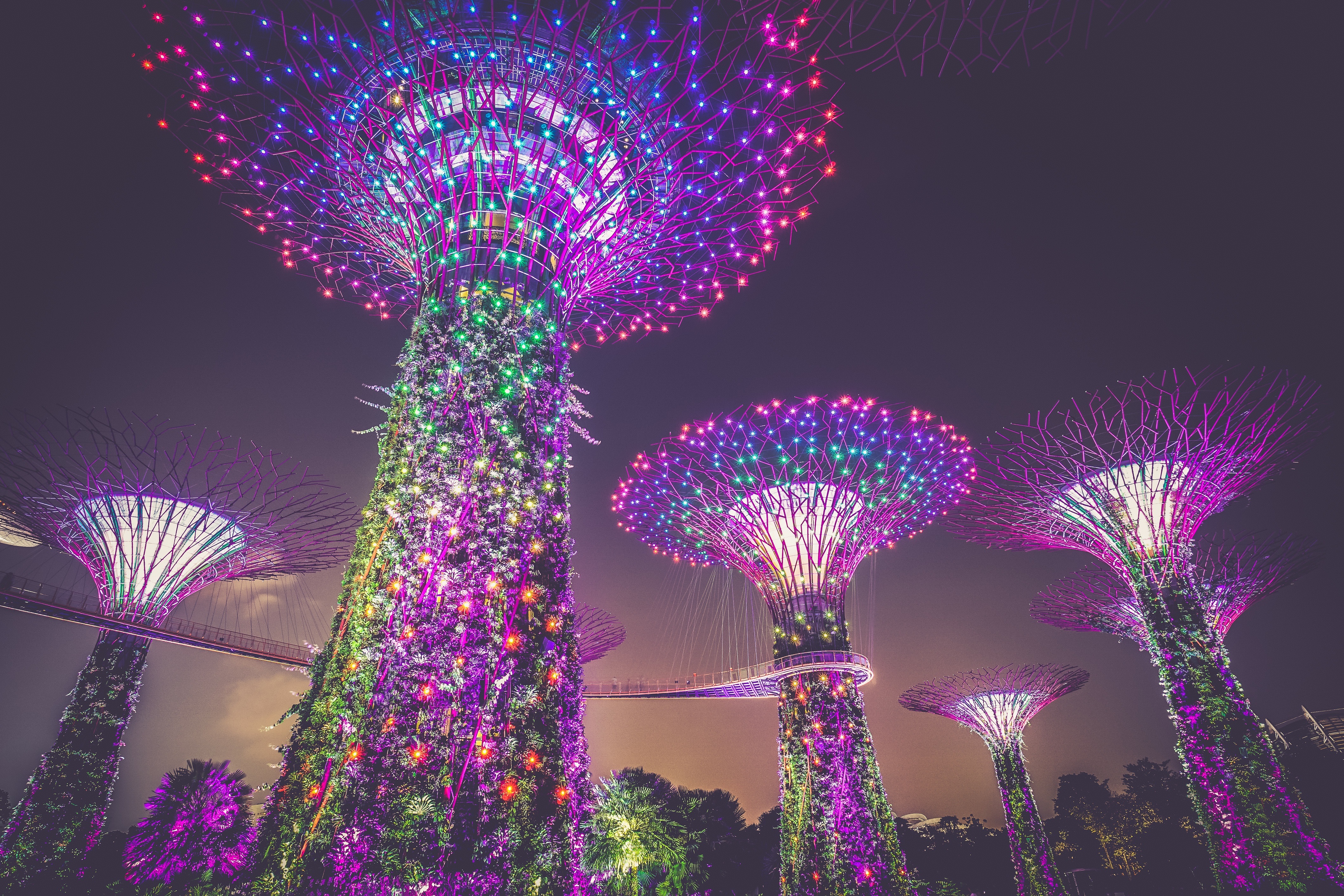 Gardens by the Bay Singapore at night with lights HD Wallpaper