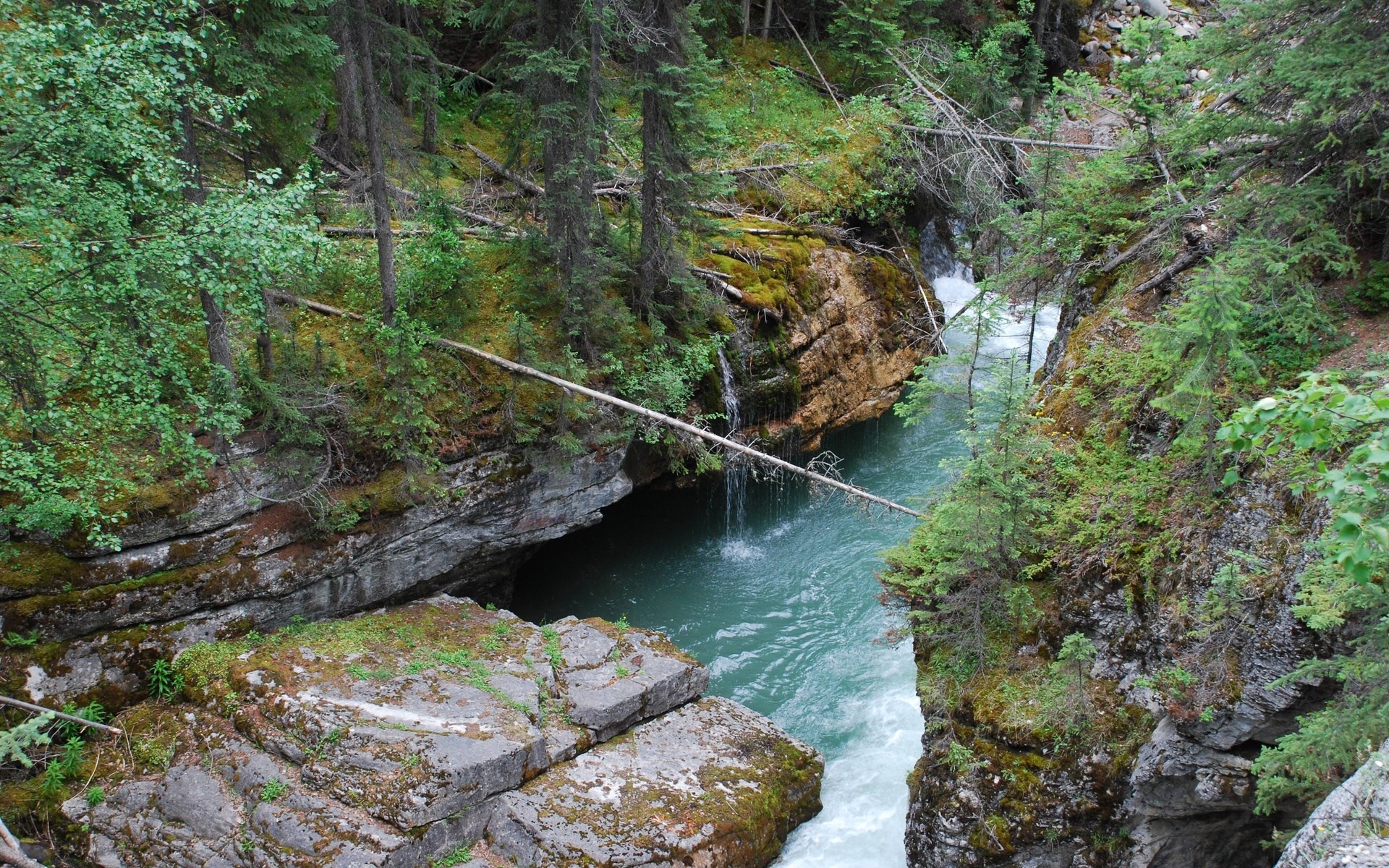 A river flows through a rocky gorge with trees HD Wallpaper