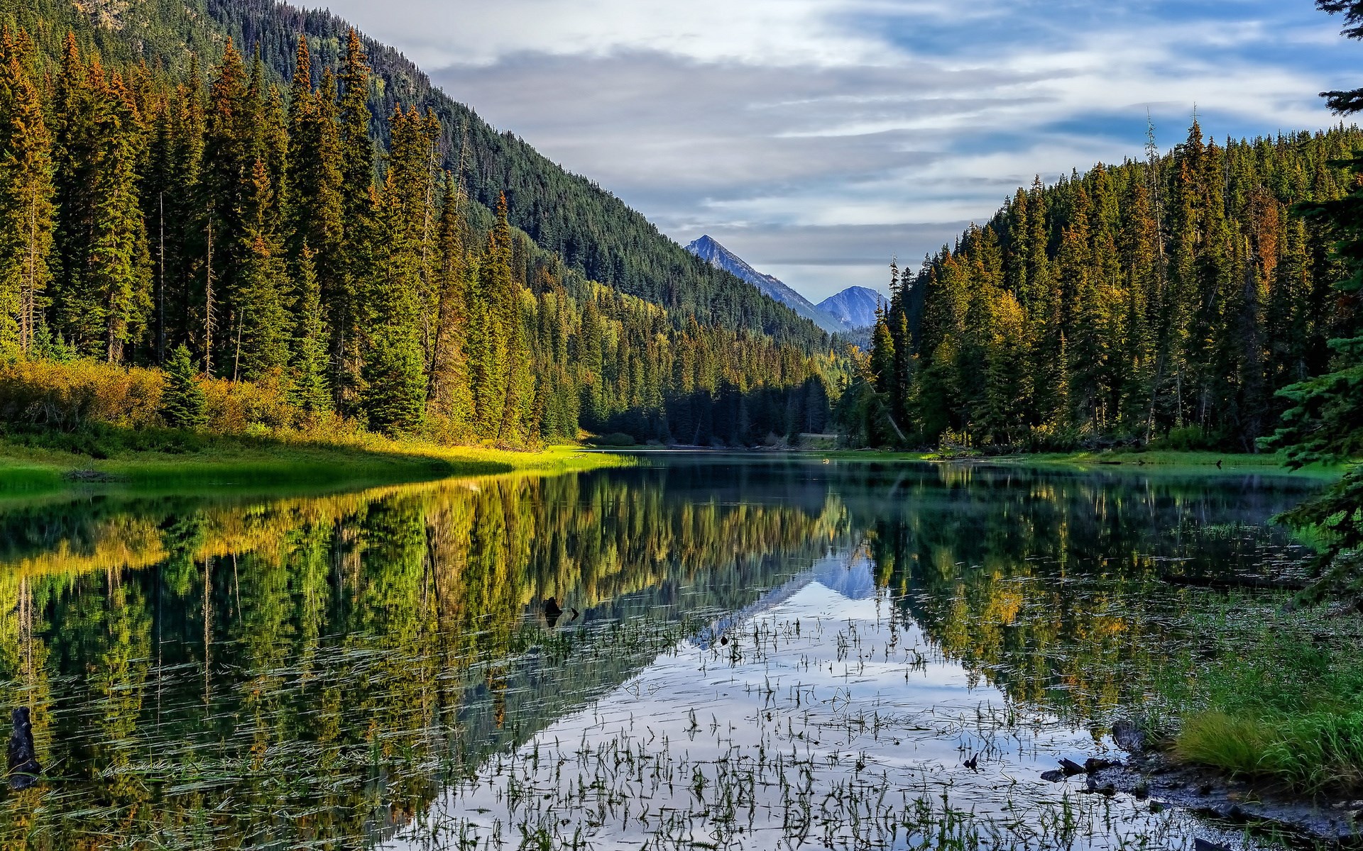 Lake reflecting evergreen forest and mountains HD Wallpaper