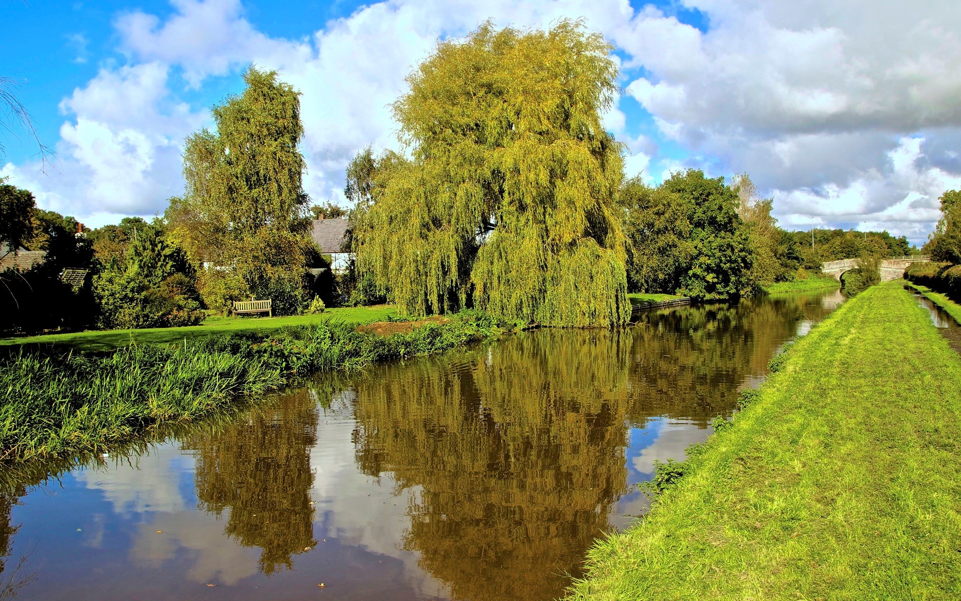 Canal with weeping willow tree and bridge HD Wallpaper