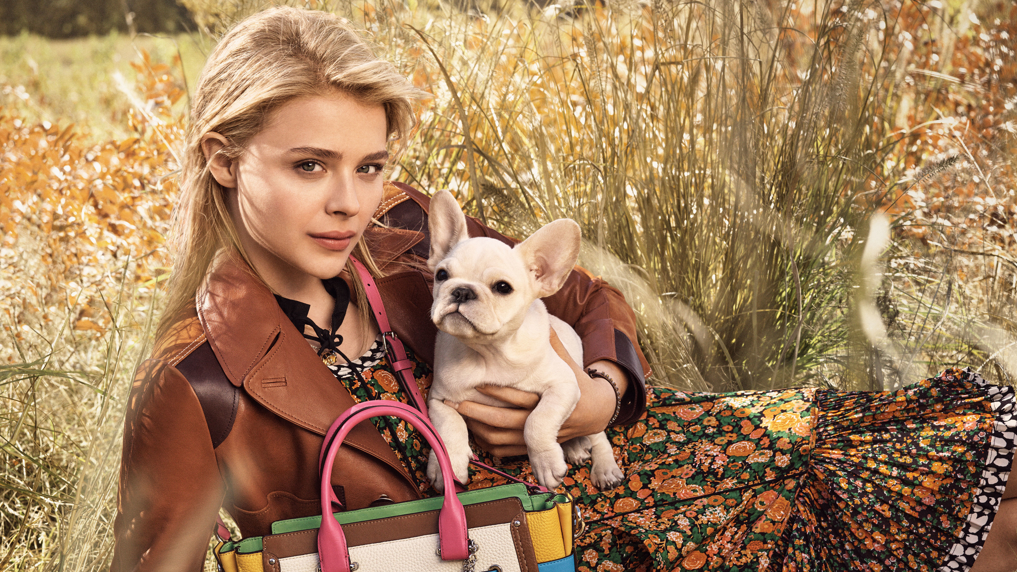 Chloe Grace Moretz with French Bulldog for Coach 4K HD Wallpaper
