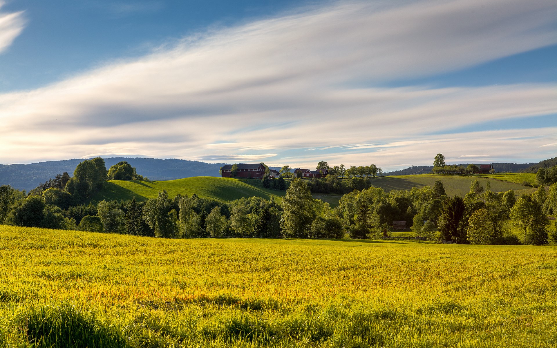 Rolling green hills with farmhouses and a bright sky HD Wallpaper