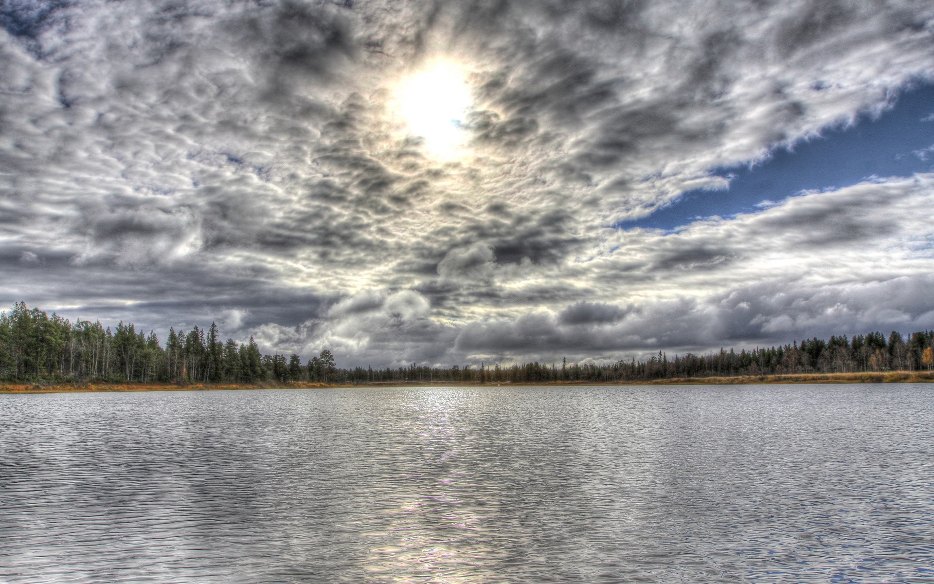 Lake and forest under cloudy sky HD Wallpaper