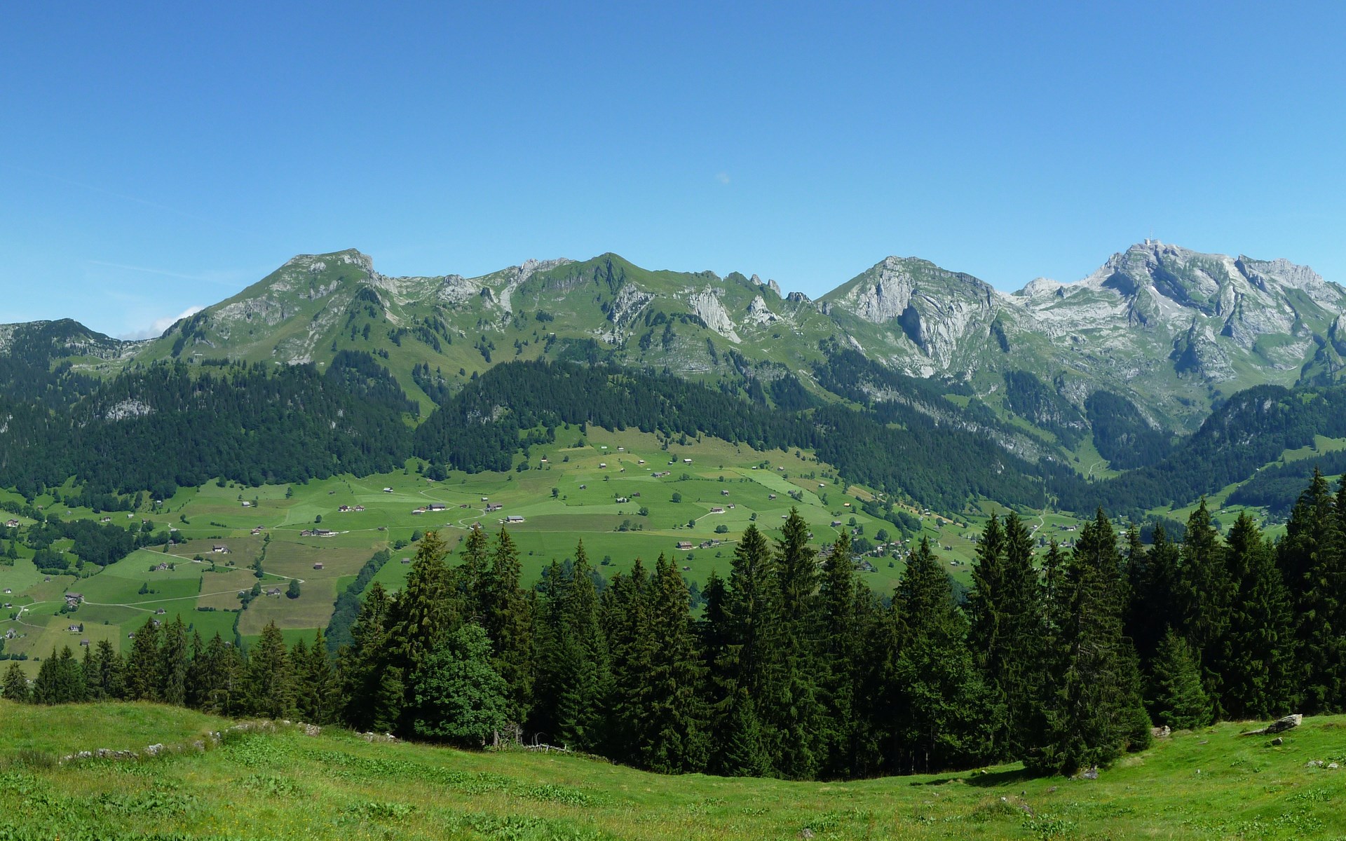 Green mountains with scattered houses and pine trees HD Wallpaper