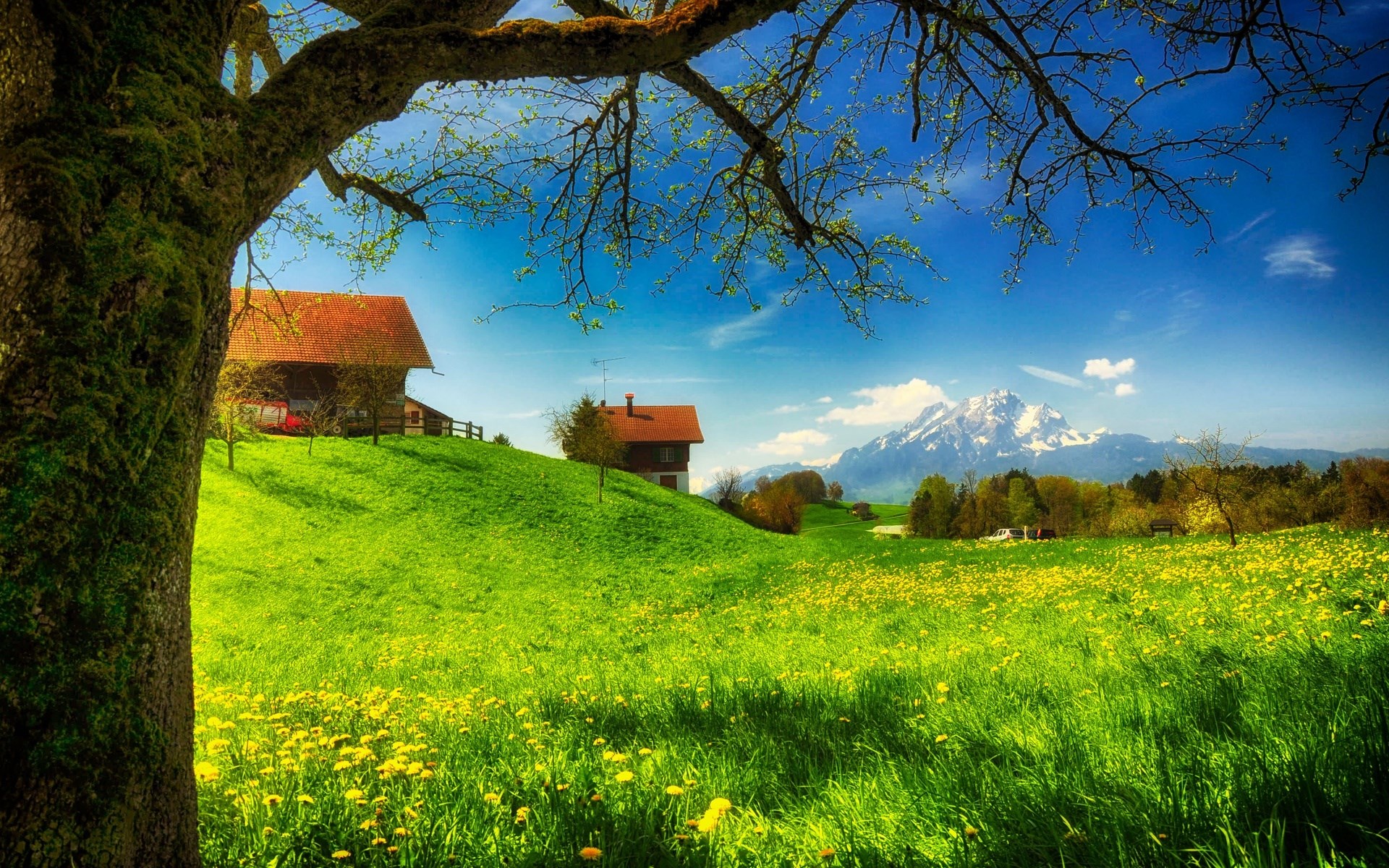 Green meadow with houses and mountains HD Wallpaper