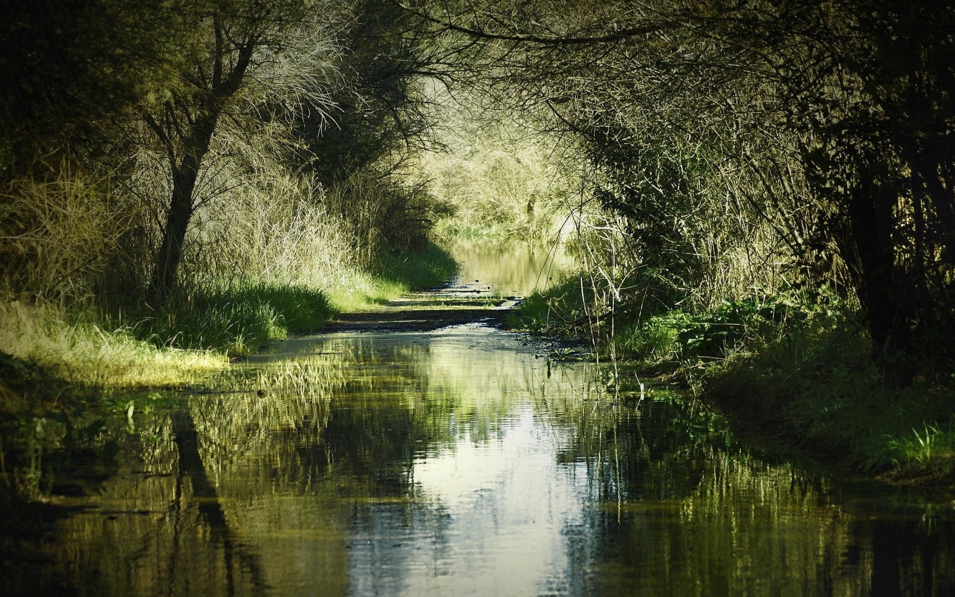A tree-lined canal path with reflections in the water HD Wallpaper