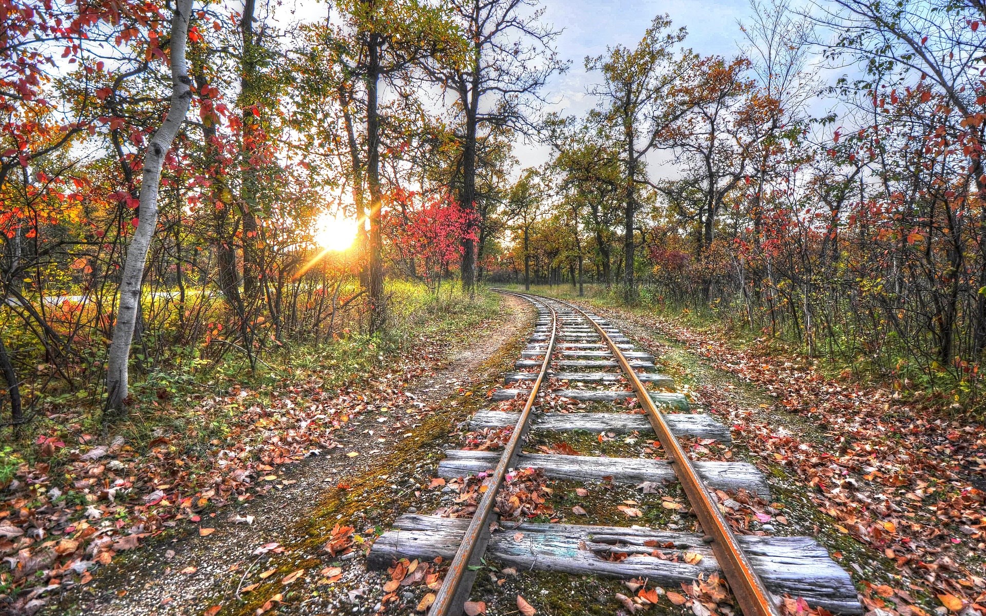 Train tracks through an autumn forest with sun flare HD Wallpaper