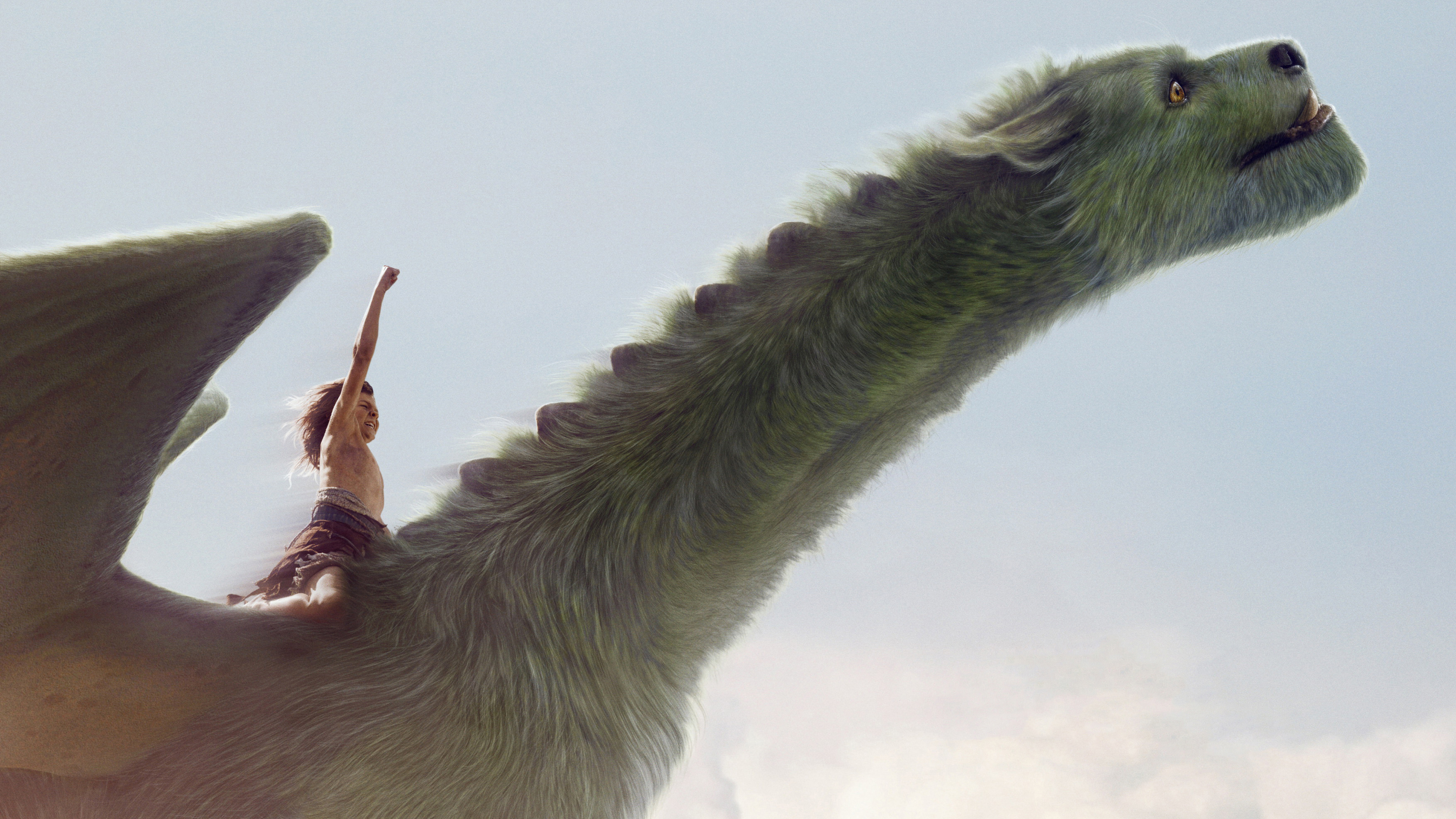 Pete and Dragon from Pete's Dragon HD Wallpaper