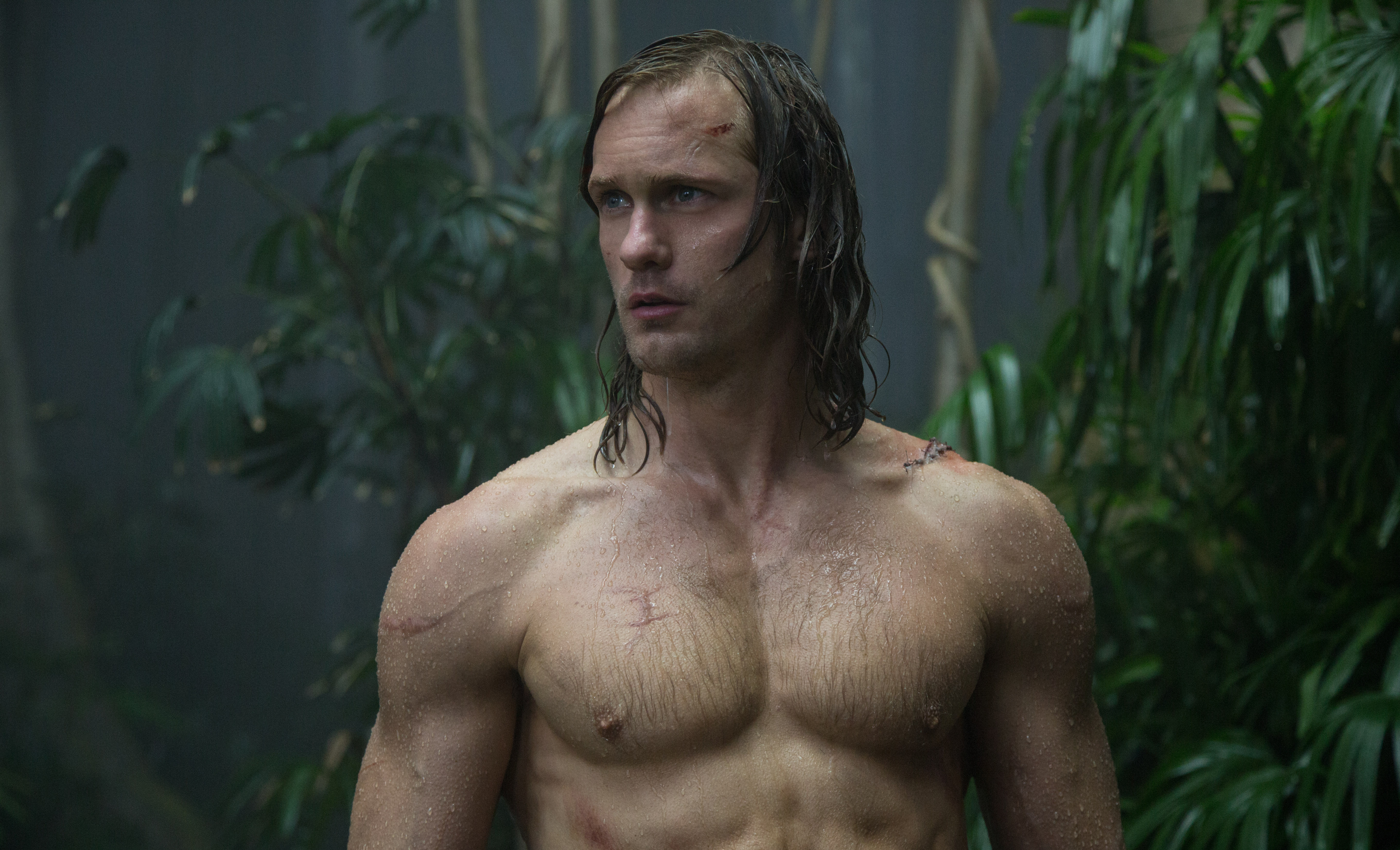 Alexander Skarsgard as Tarzan from The Legend of Tarzan HD Wallpaper