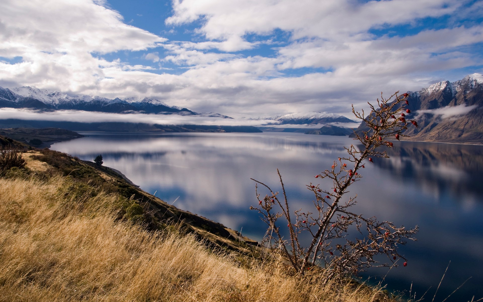Lake with snow-capped mountains and dry grass in foreground HD Wallpaper