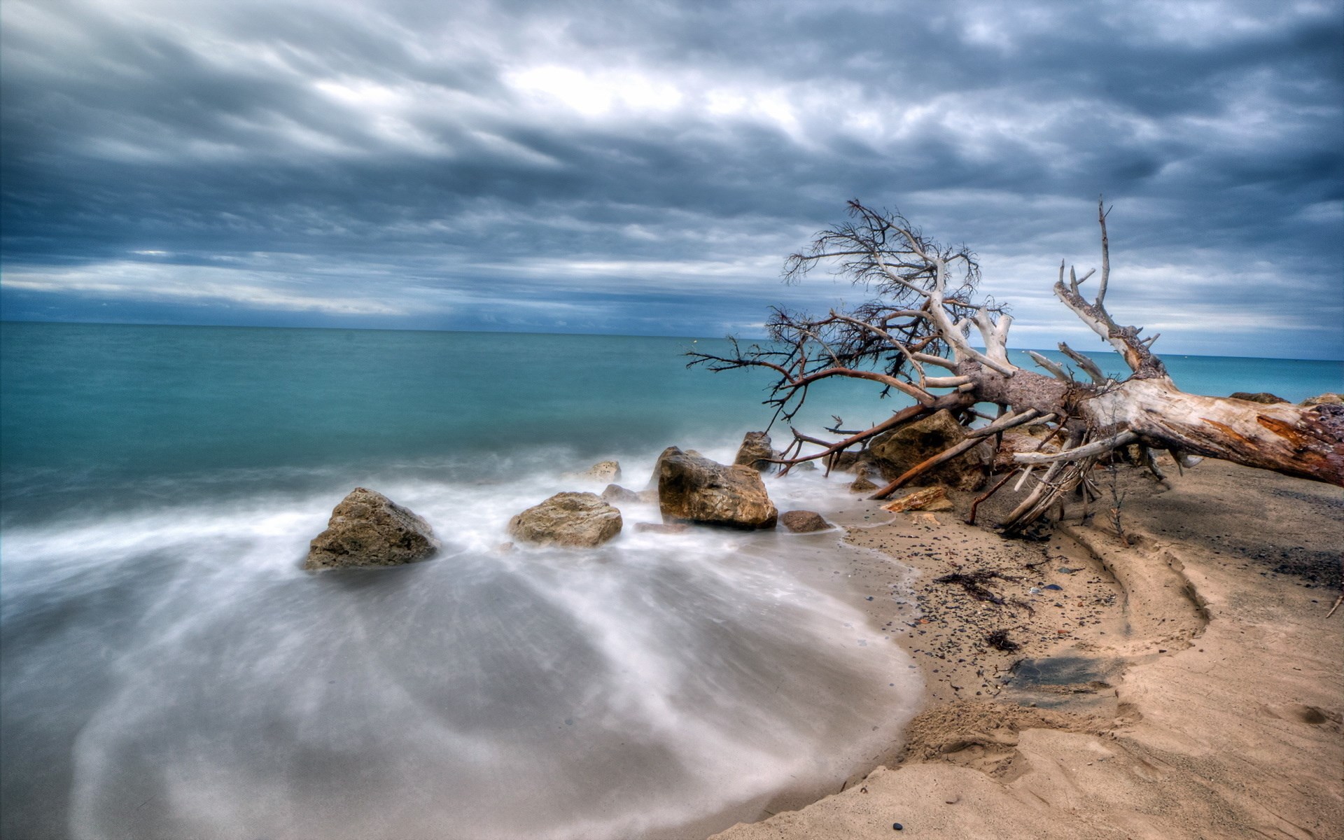 Fallen tree on a rocky beach with stormy clouds HD Wallpaper