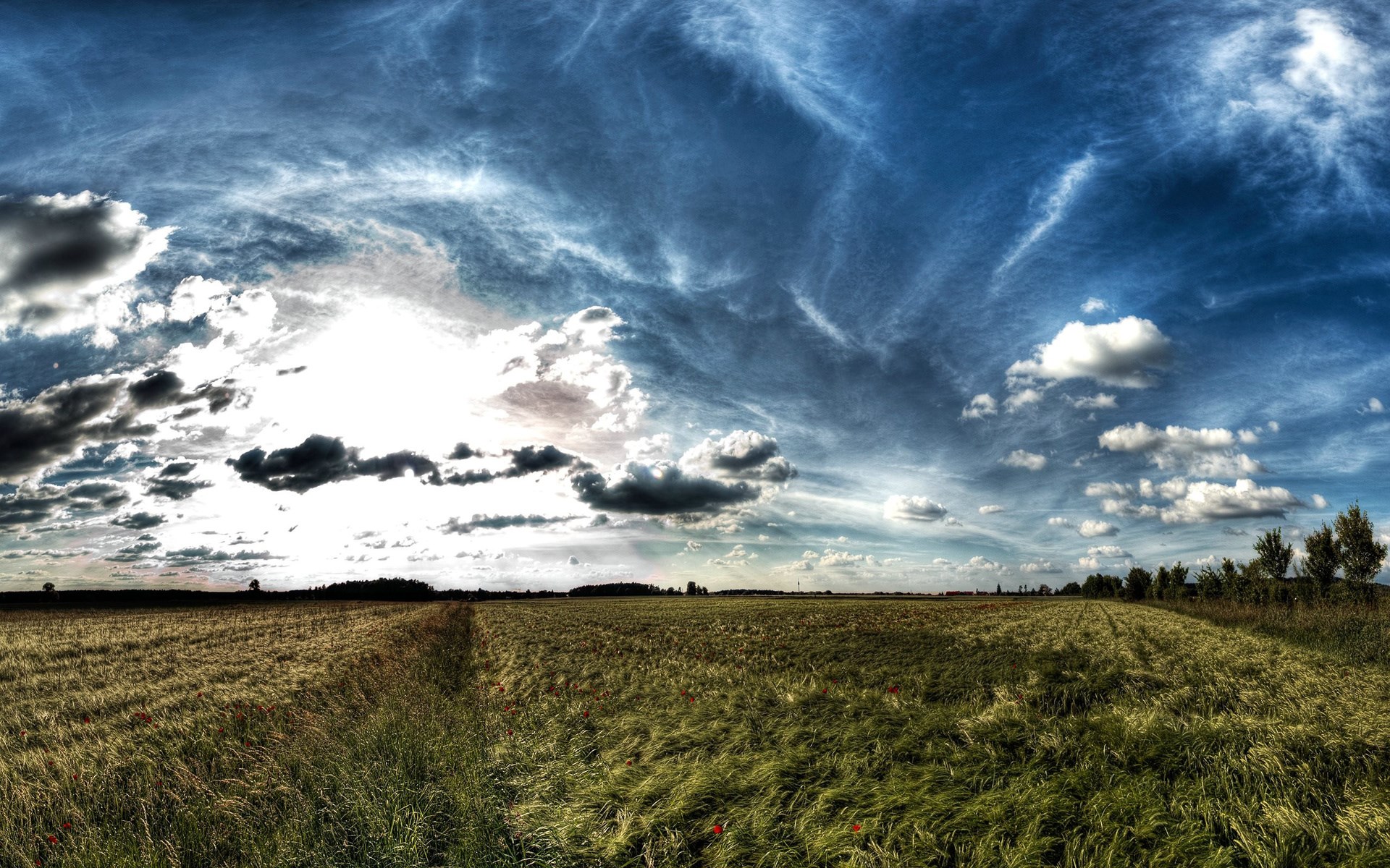Panoramic view of a wheat field under a dramatic sky HD Wallpaper