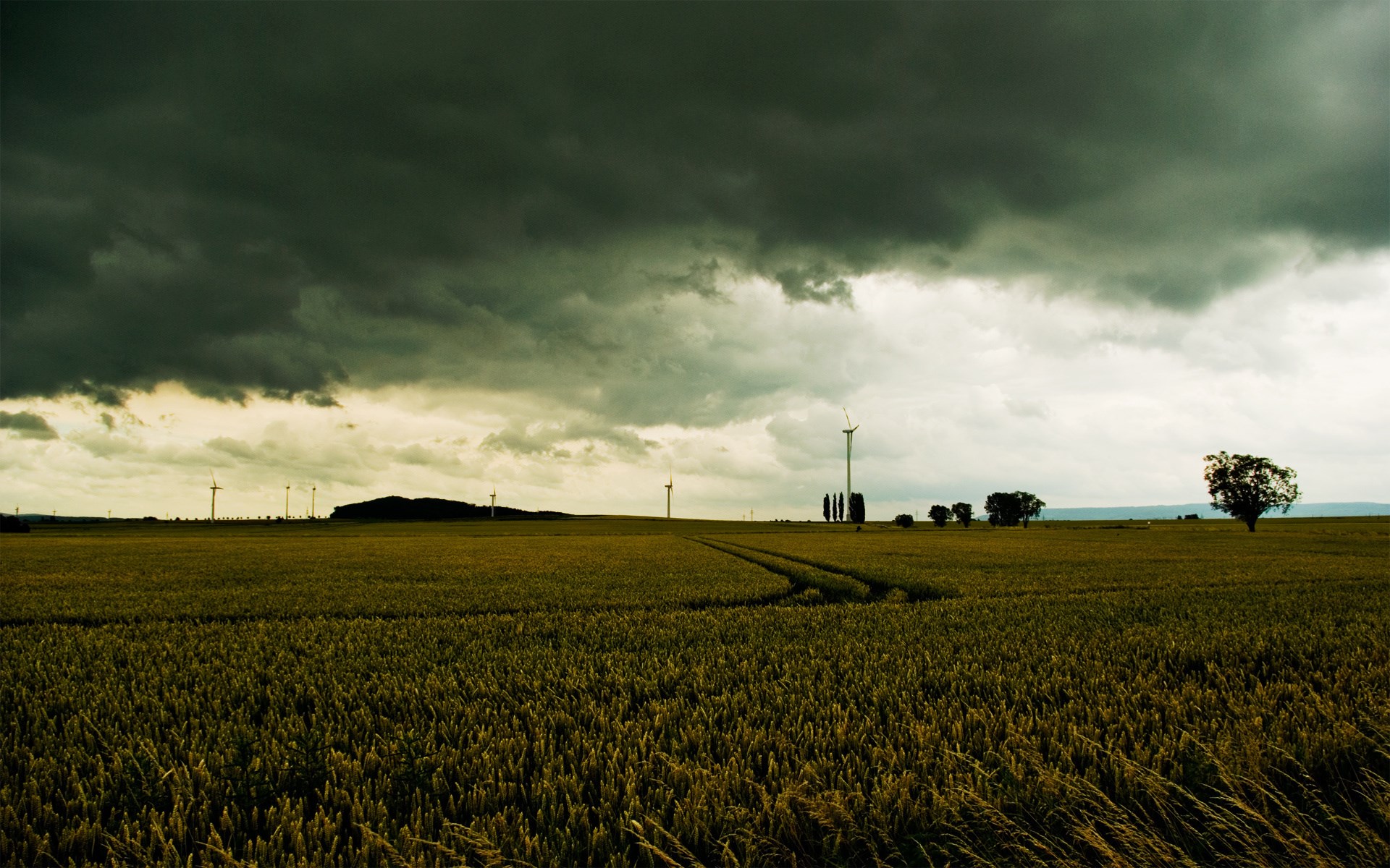 Wind turbines in a wheat field under stormy clouds HD Wallpaper