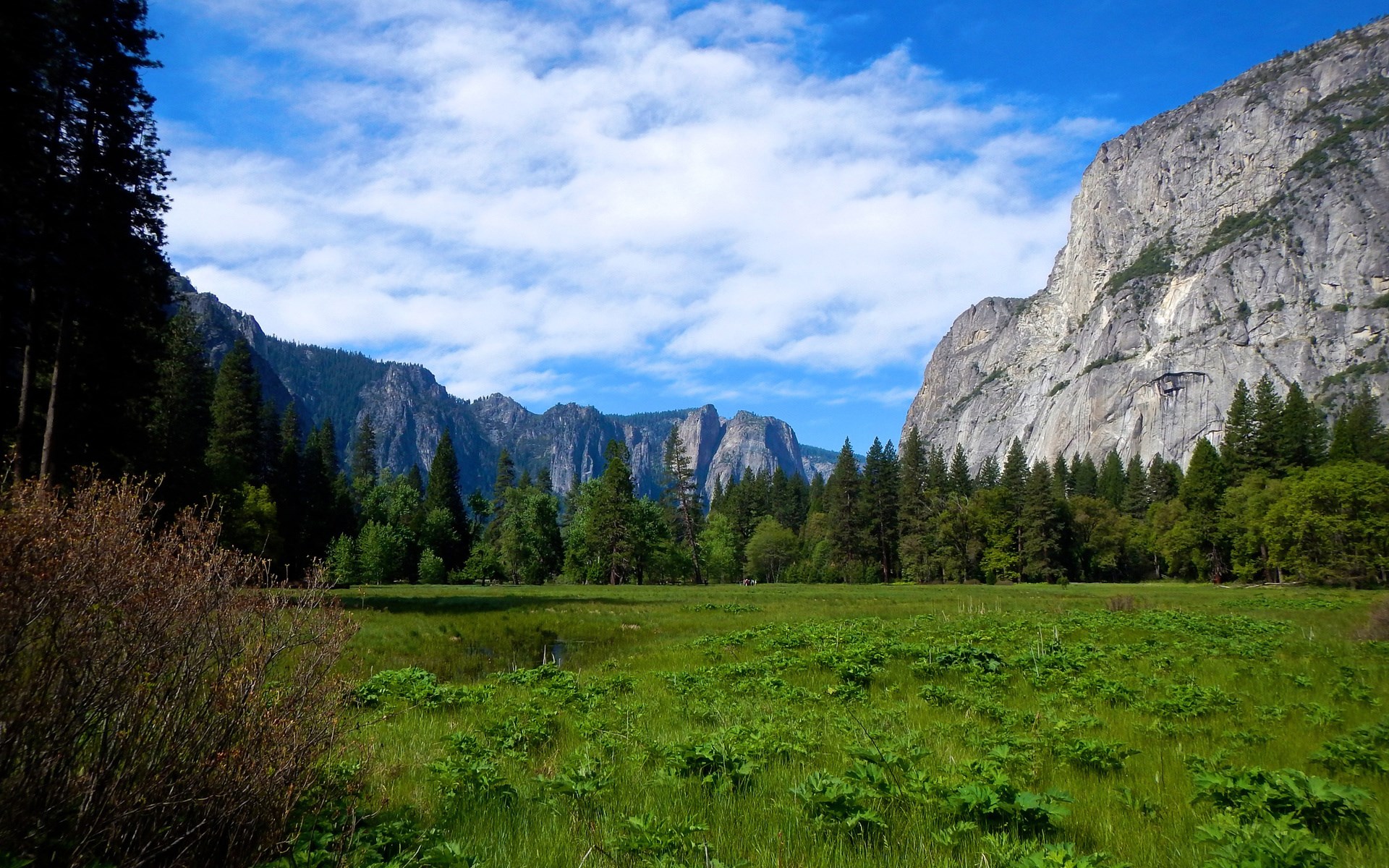 Yosemite Valley with El Capitan and Half Dome HD Wallpaper