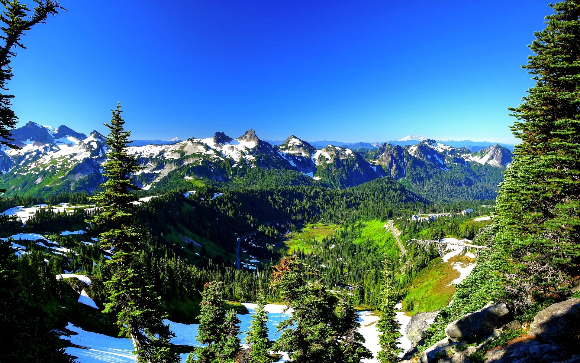 Snow-capped mountains and evergreen forest under a clear blue sky HD Wallpaper