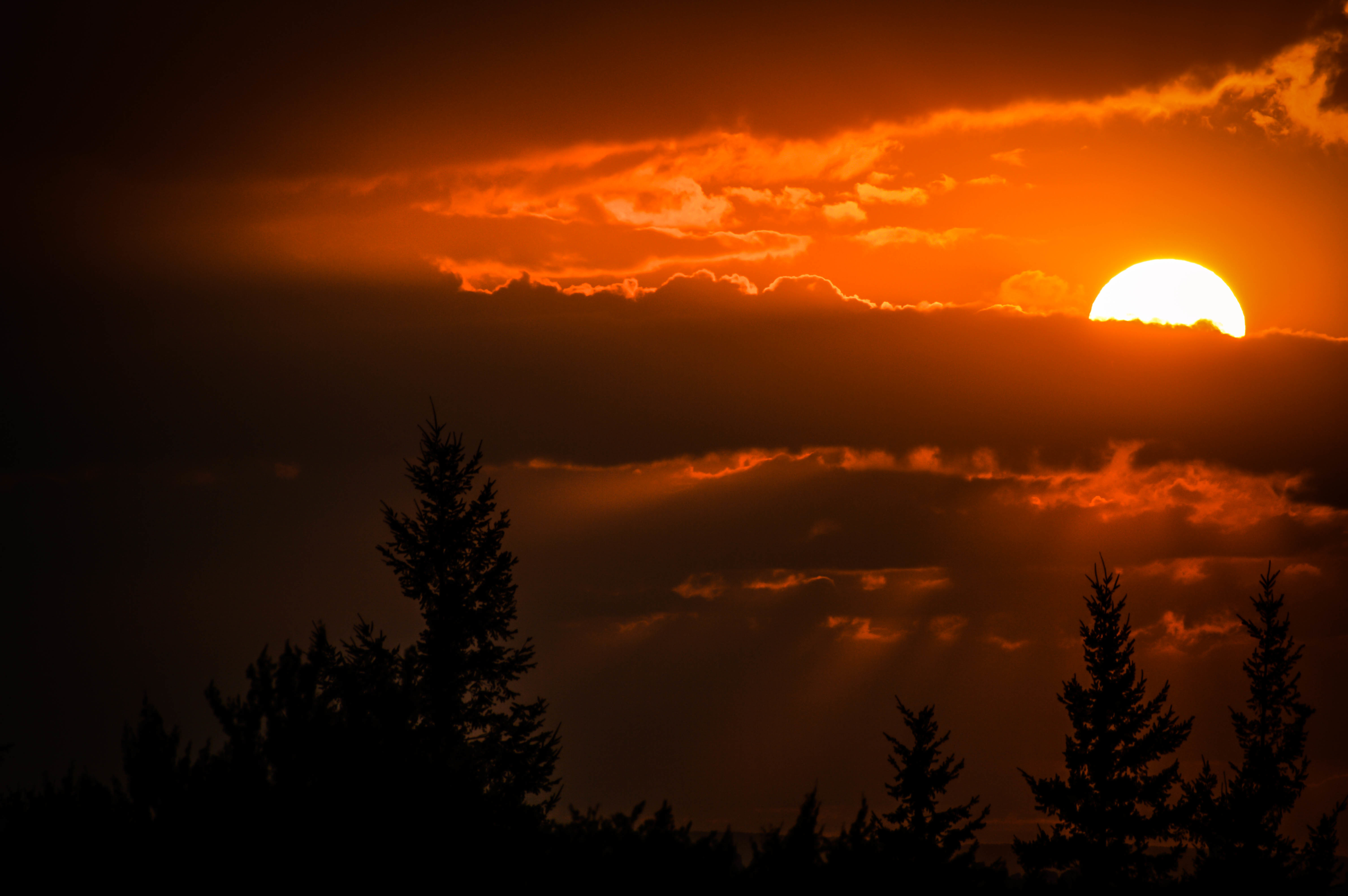 Sunset with Clouds and Silhouetted Trees HD Wallpaper