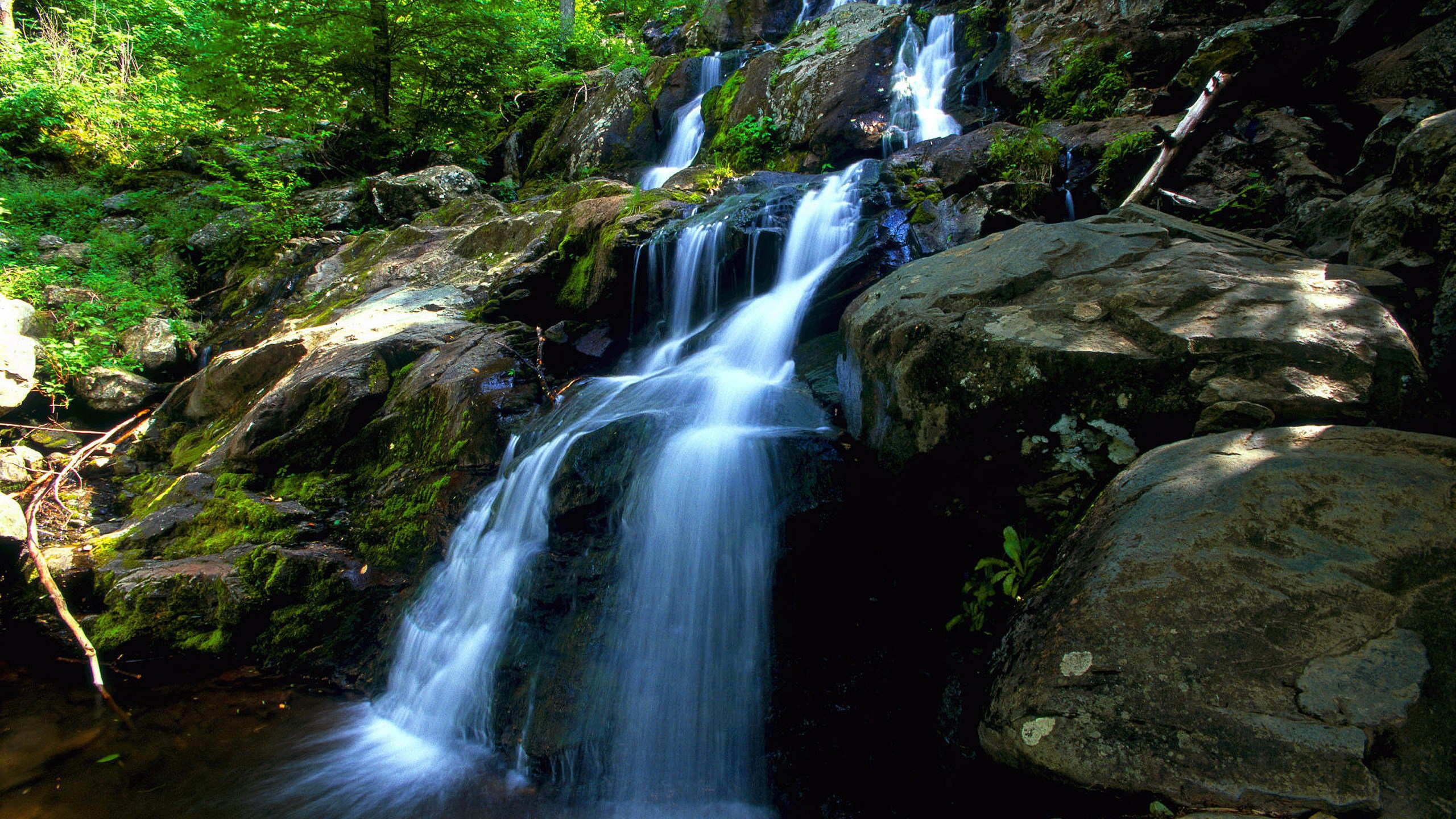 Waterfall cascading over mossy rocks in a forest HD Wallpaper