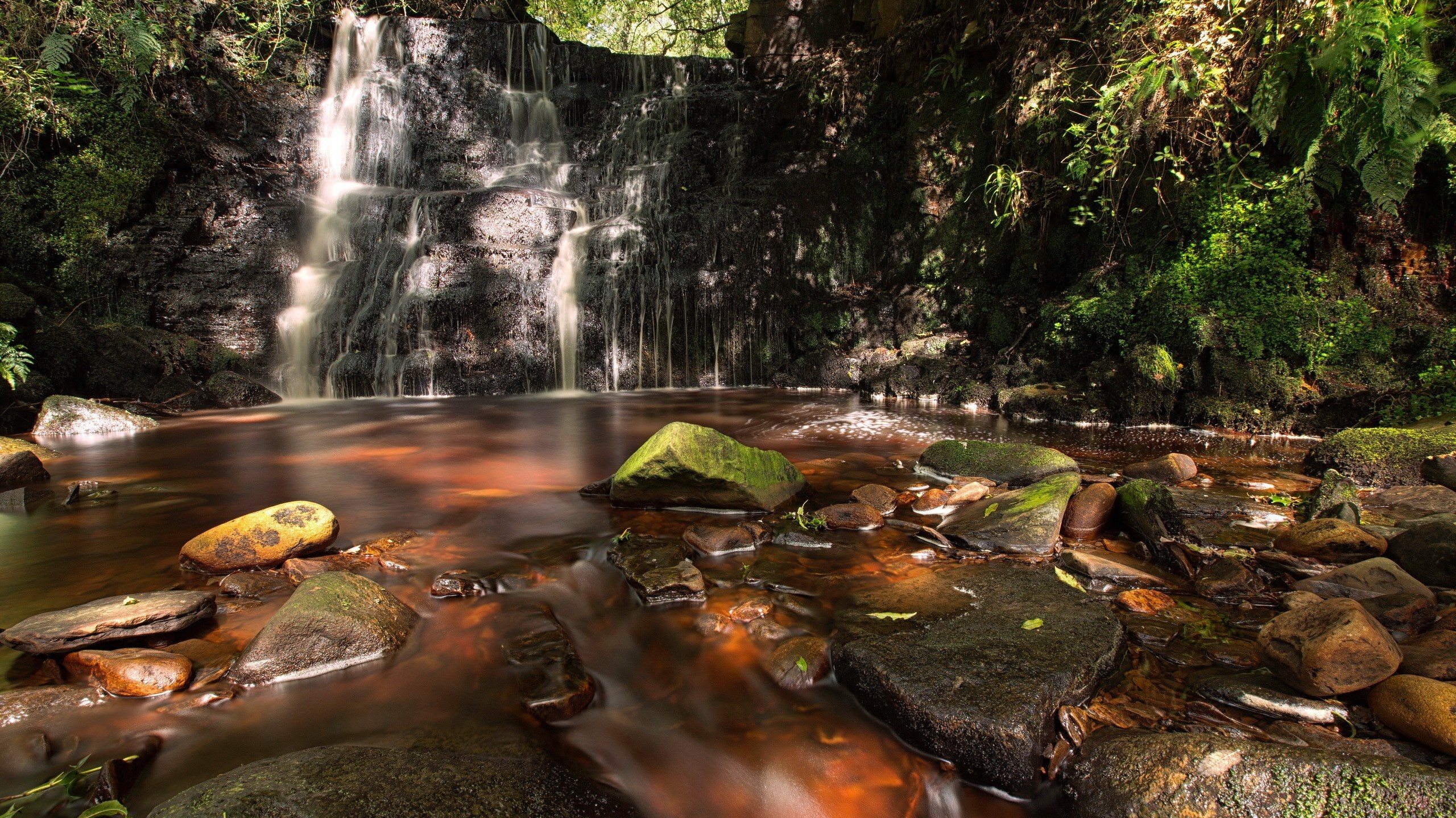 Waterfall cascading into a stream with mossy rocks HD Wallpaper