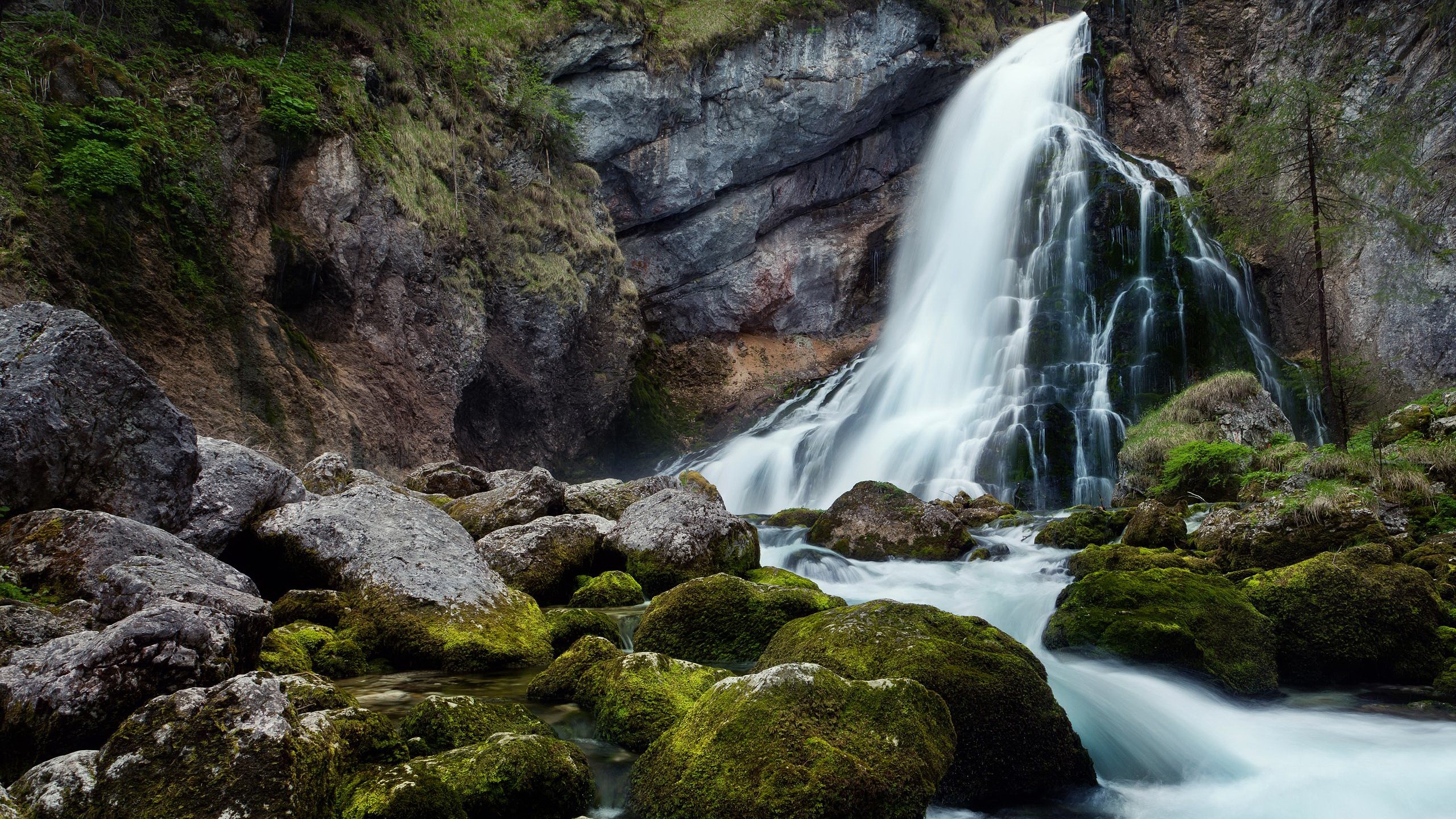 Waterfall cascading over mossy rocks in a forest HD Wallpaper