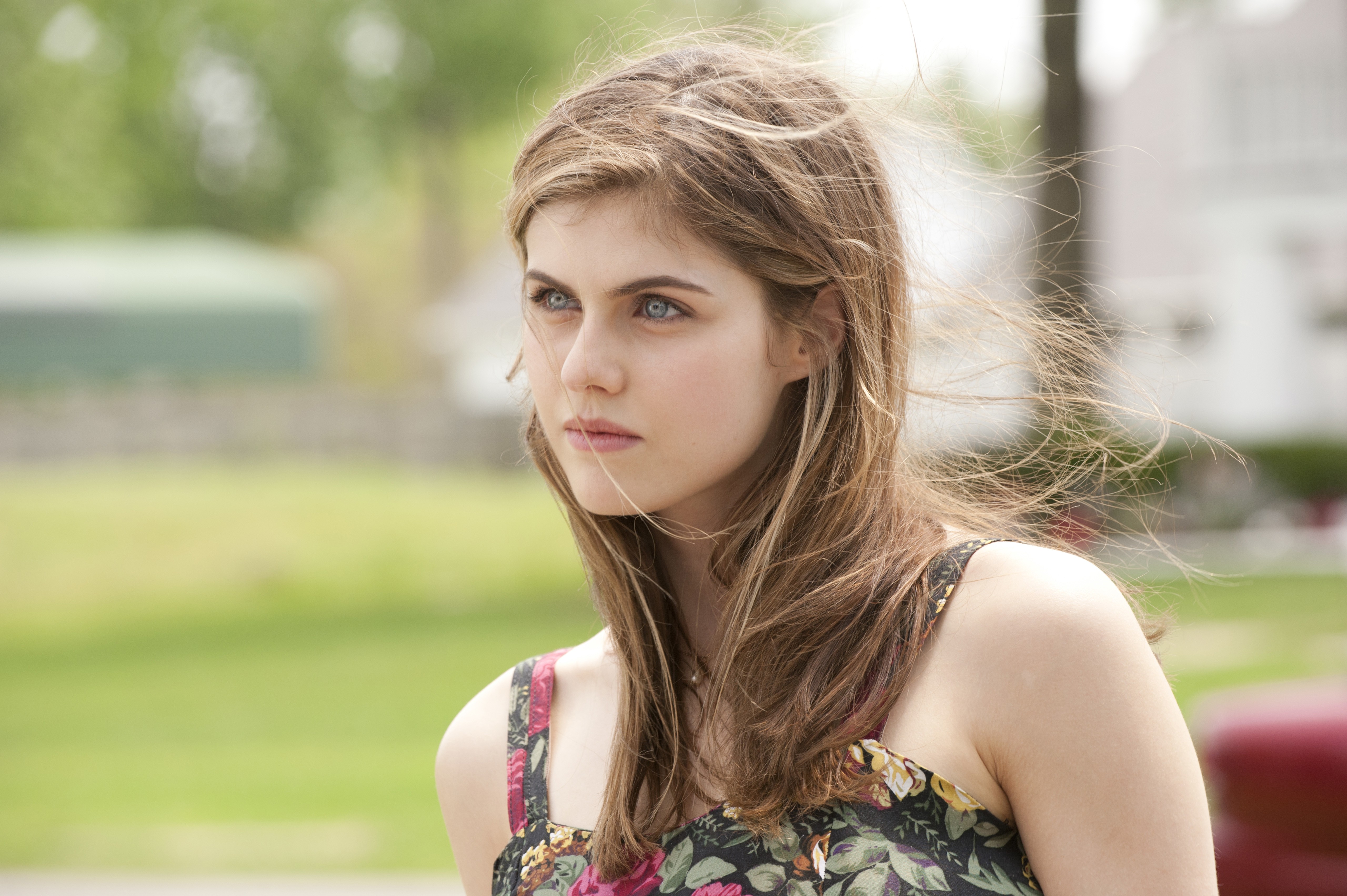 Alexandra Daddario HD Wallpaper