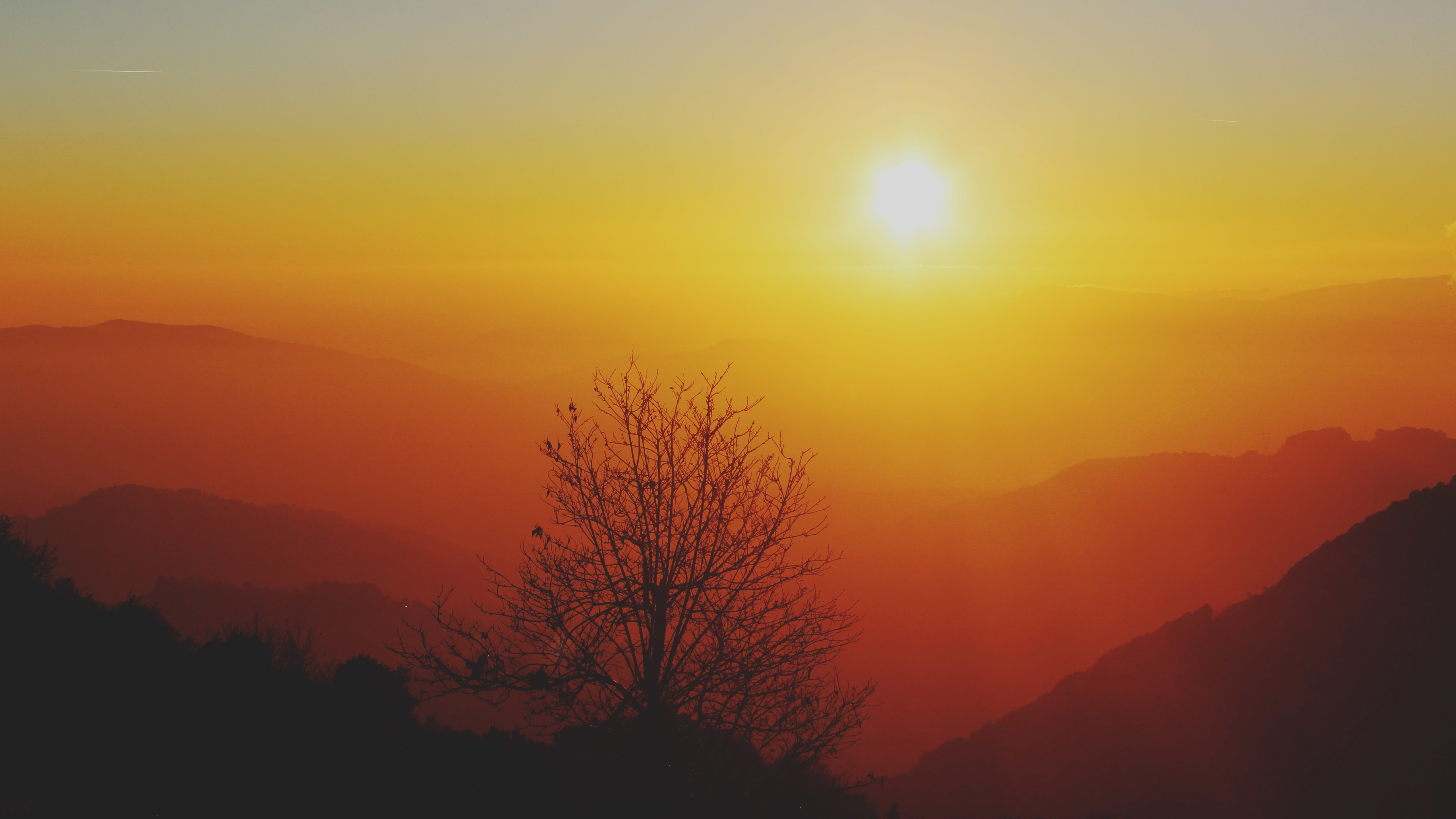 Sunset over mountain ranges with a bare tree HD Wallpaper