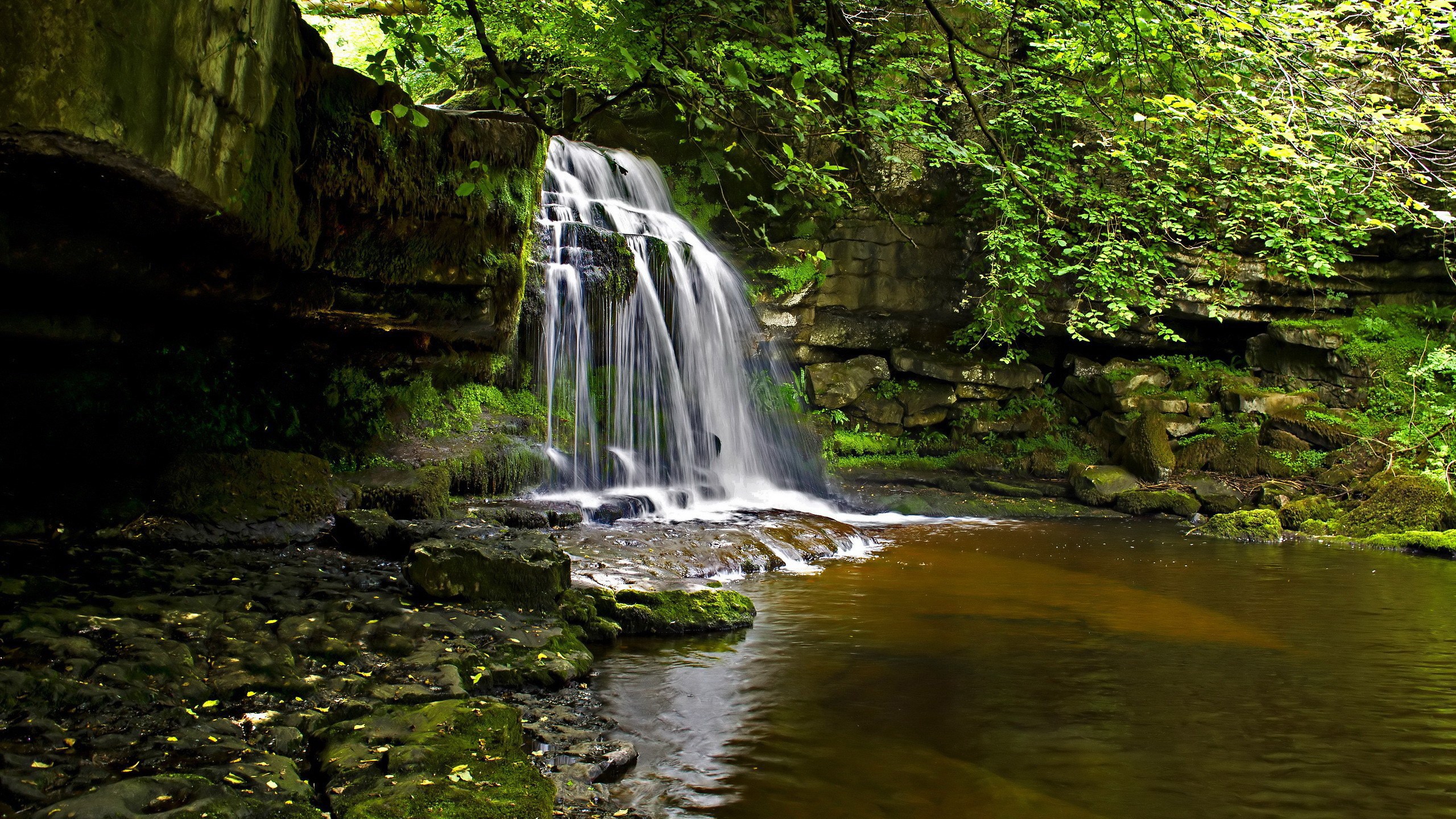 Waterfall cascading into a pool in a forest HD Wallpaper
