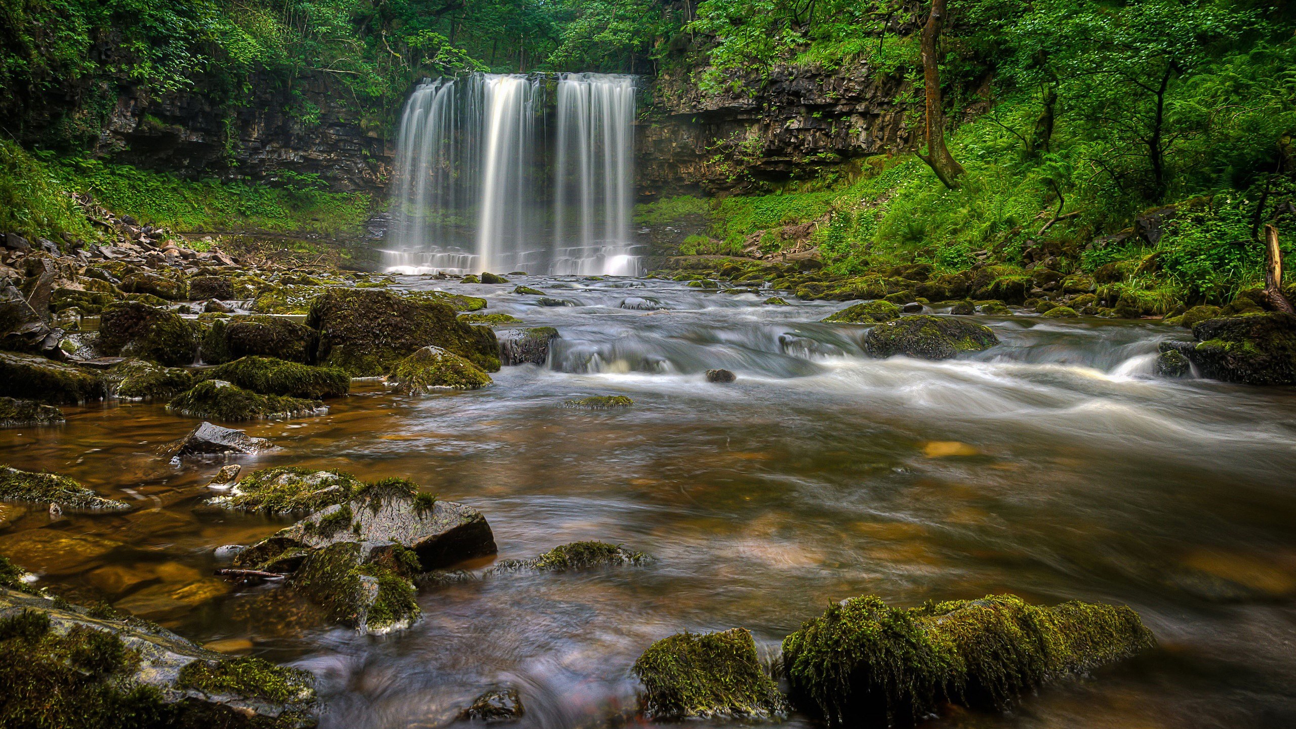 Waterfall flowing over rocks in a forest HD Wallpaper
