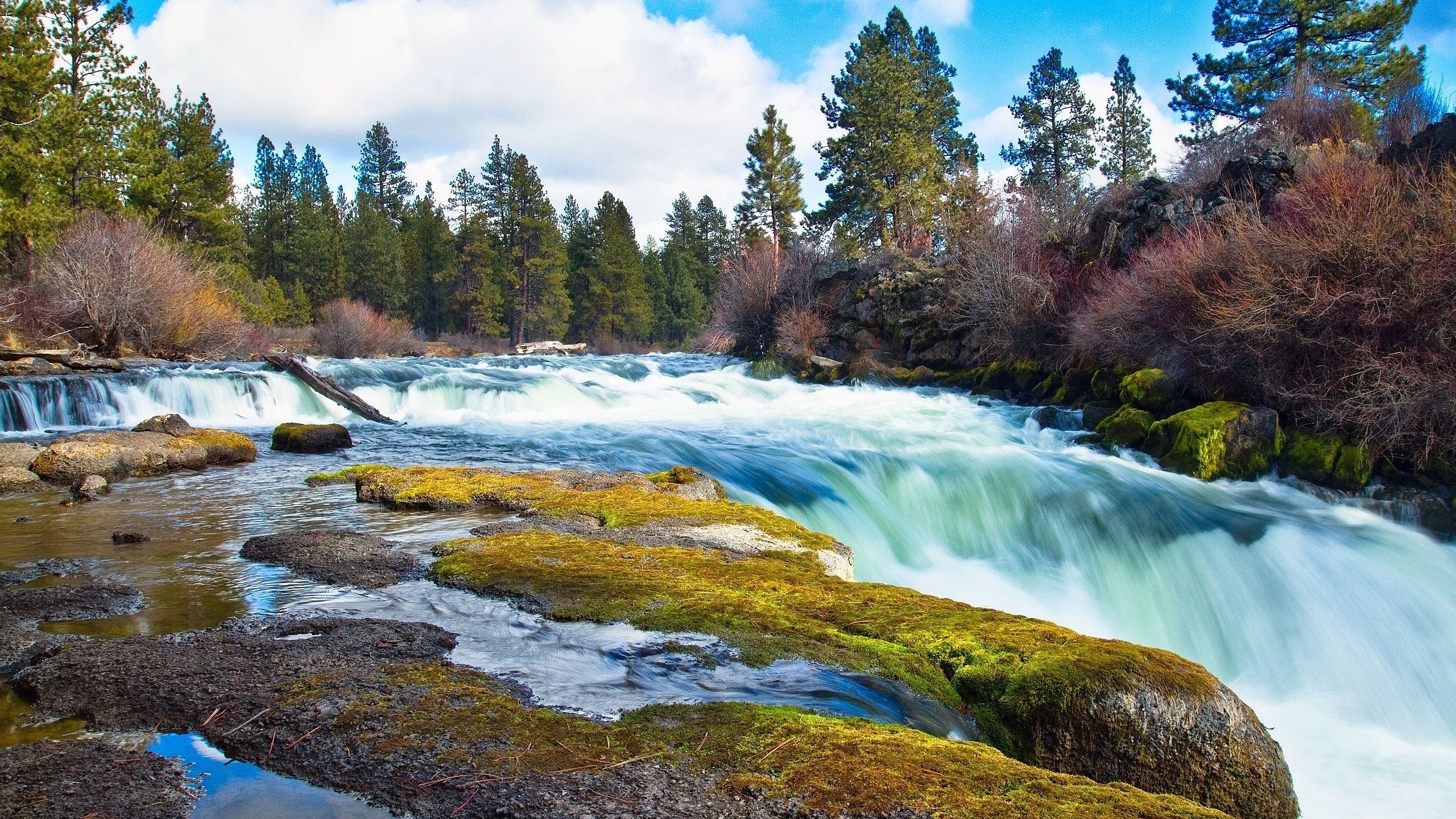 River rapids flowing over rocks with trees in the background HD Wallpaper