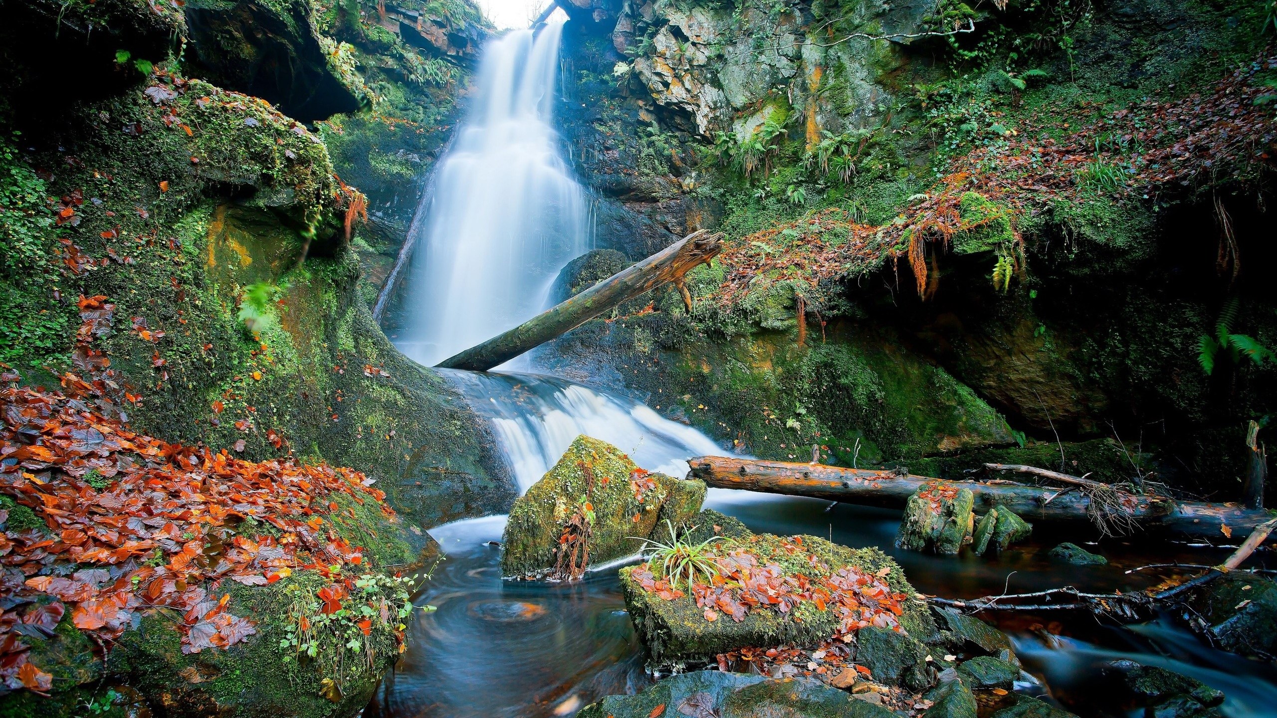Waterfall flowing over mossy rocks with fallen leaves HD Wallpaper