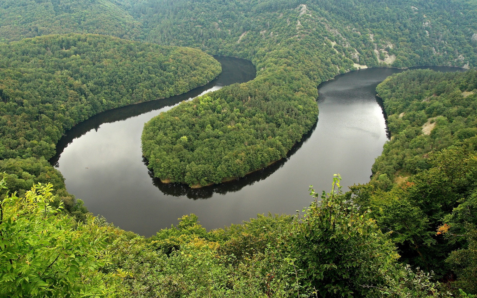 Meandering River Through a Forested Valley HD Wallpaper