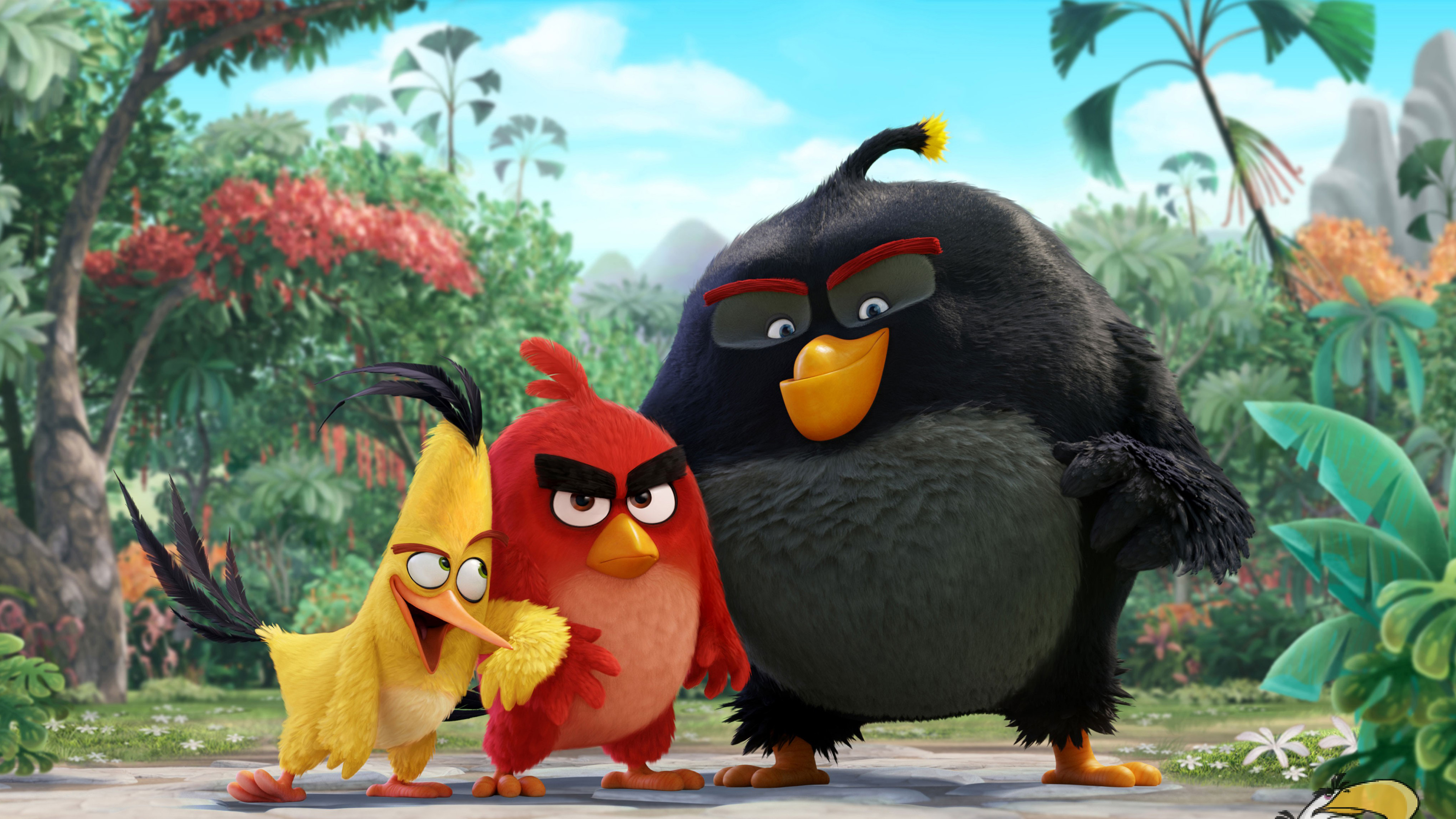 Bomb, Red, and Chuck from Angry Birds 4K HD Wallpaper