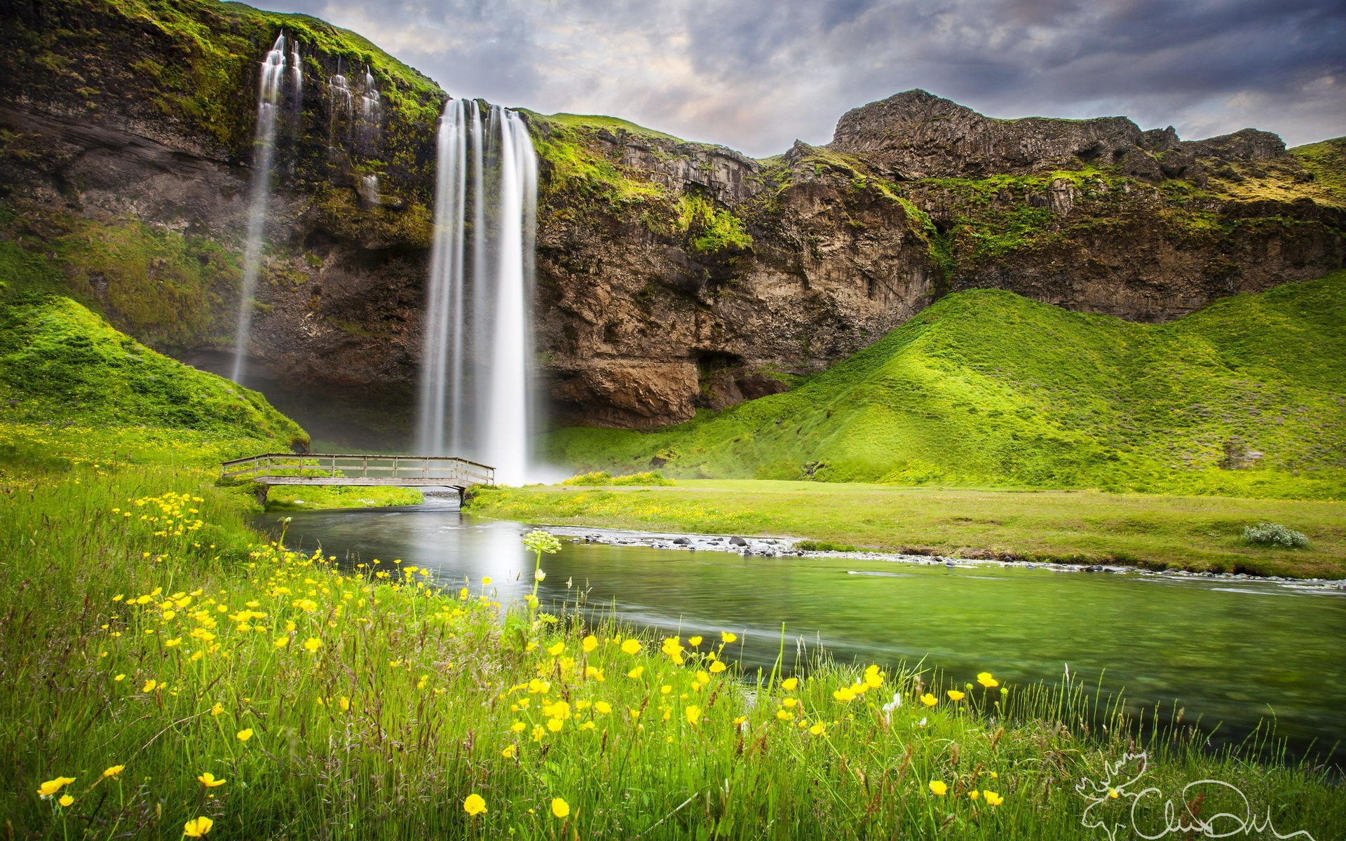 Seljalandsfoss waterfall in Iceland with yellow flowers HD Wallpaper
