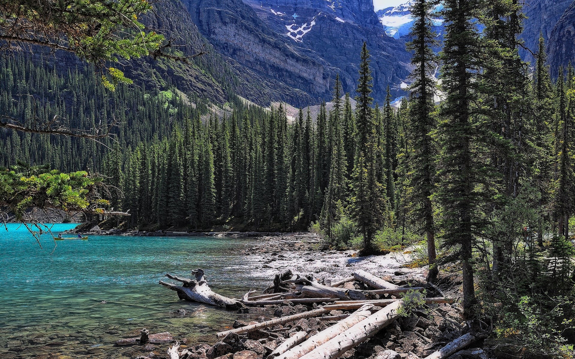 Turquoise lake with pine forest and mountains HD Wallpaper