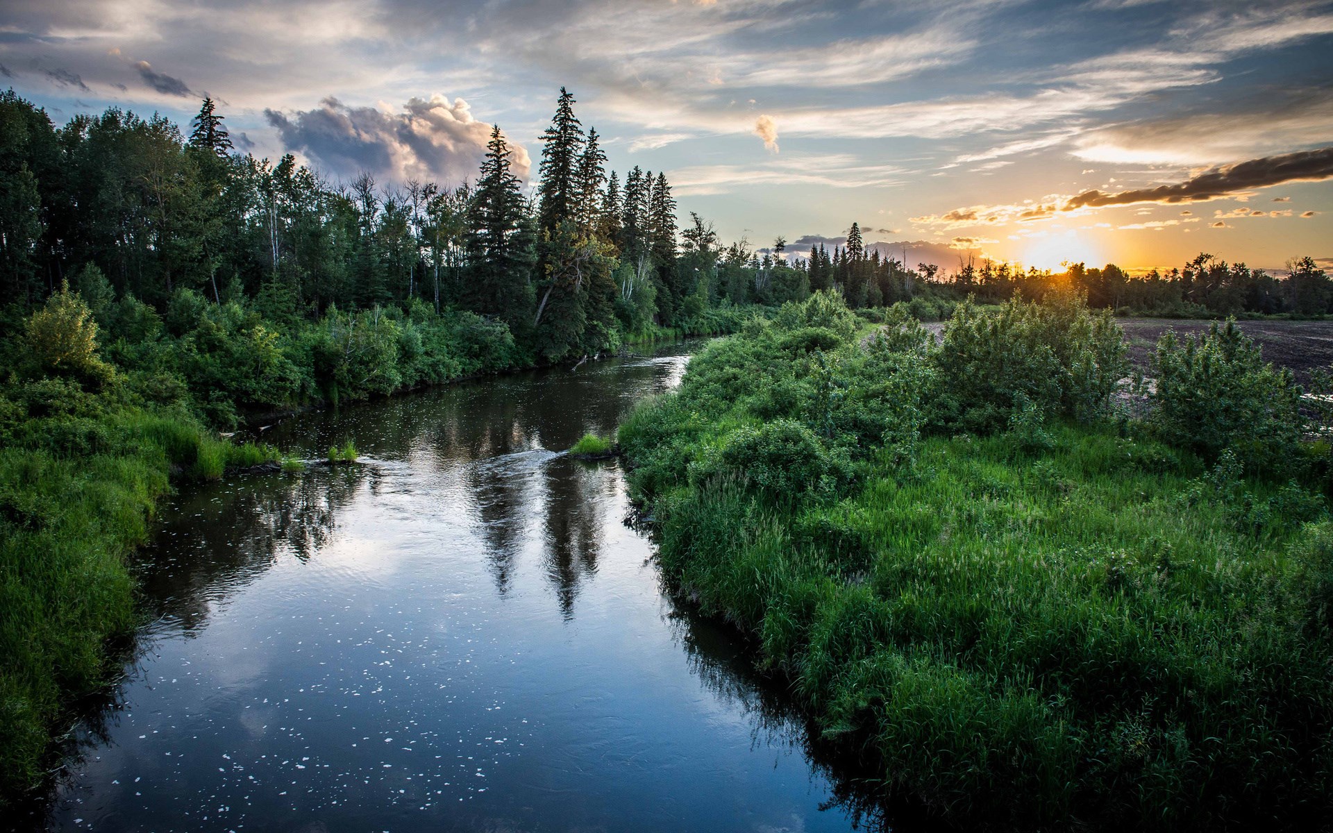 River flowing through a forest at sunset HD Wallpaper