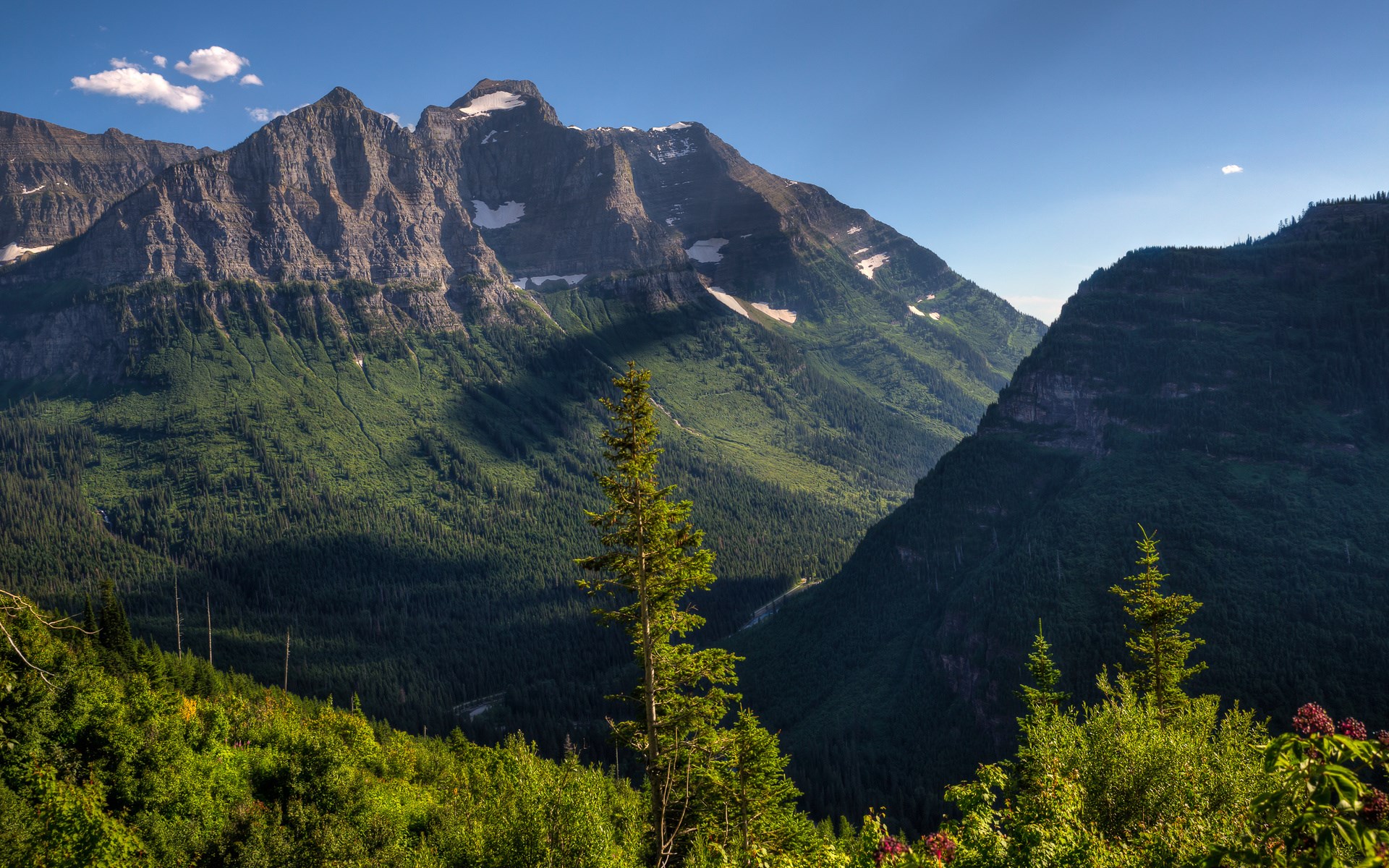 Mountain range with green forest and blue sky HD Wallpaper