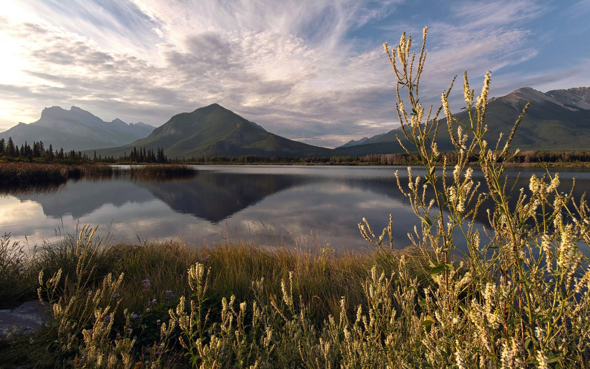 Mountain lake reflection with foreground plants HD Wallpaper