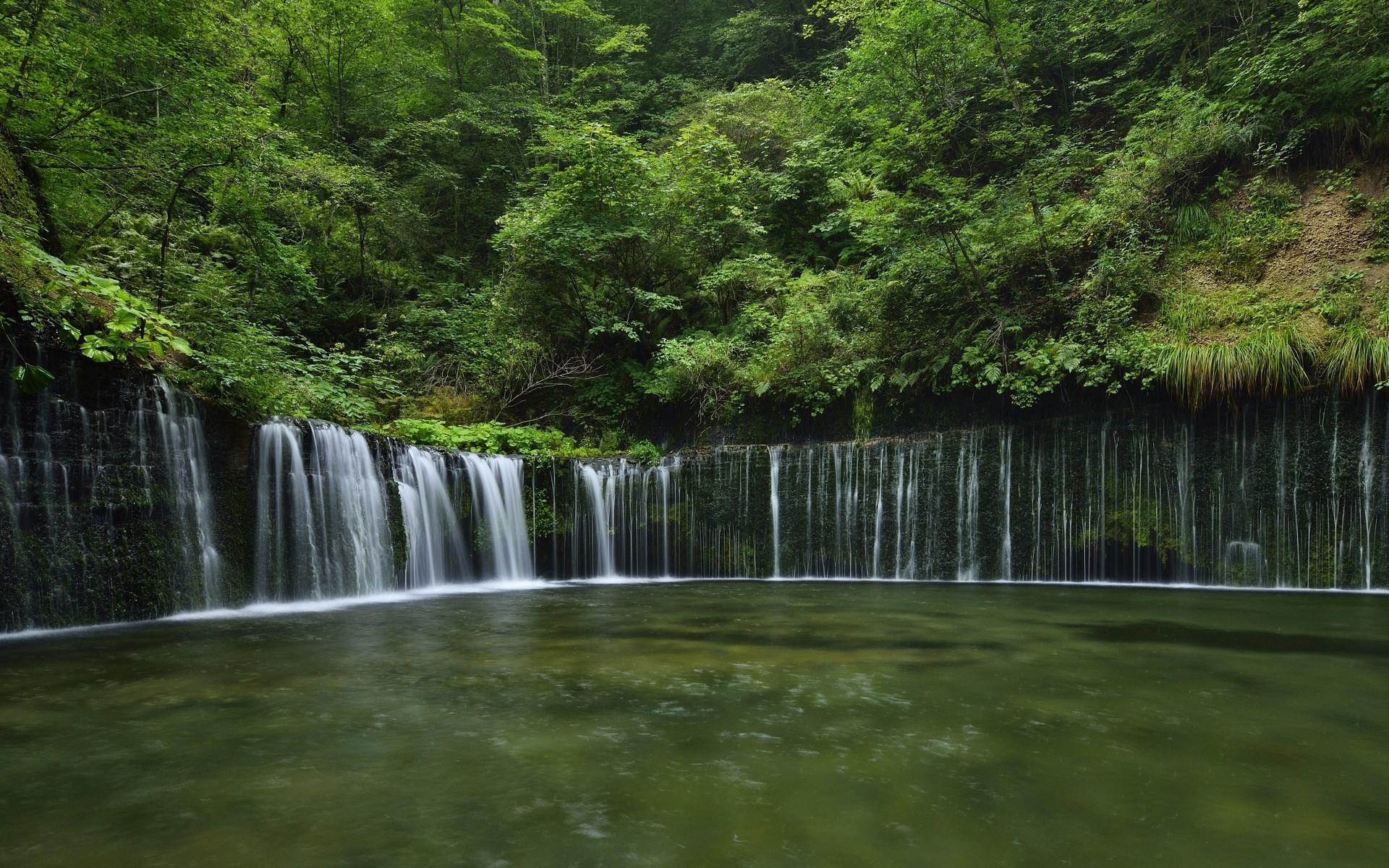 Waterfall cascading into a pool in a dense forest HD Wallpaper