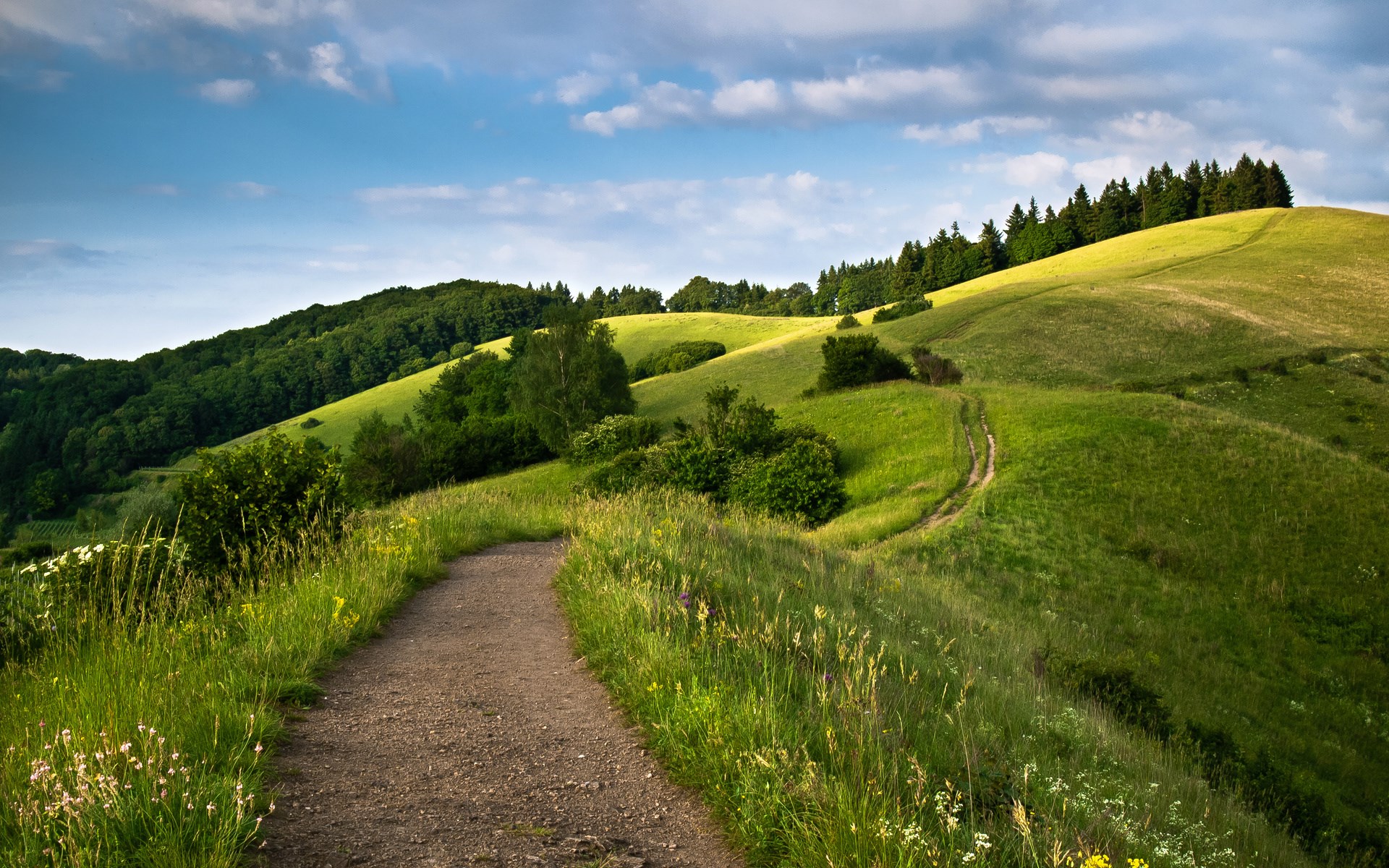A dirt path winds through rolling green hills under a blue sky. HD Wallpaper